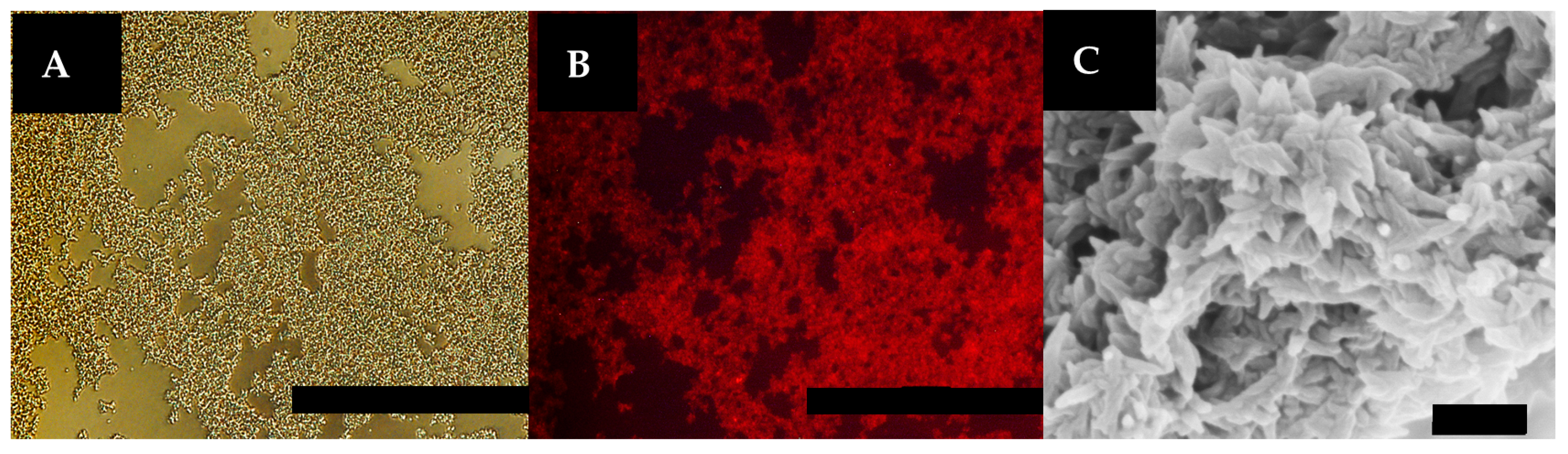 Materials 09 00838 g007