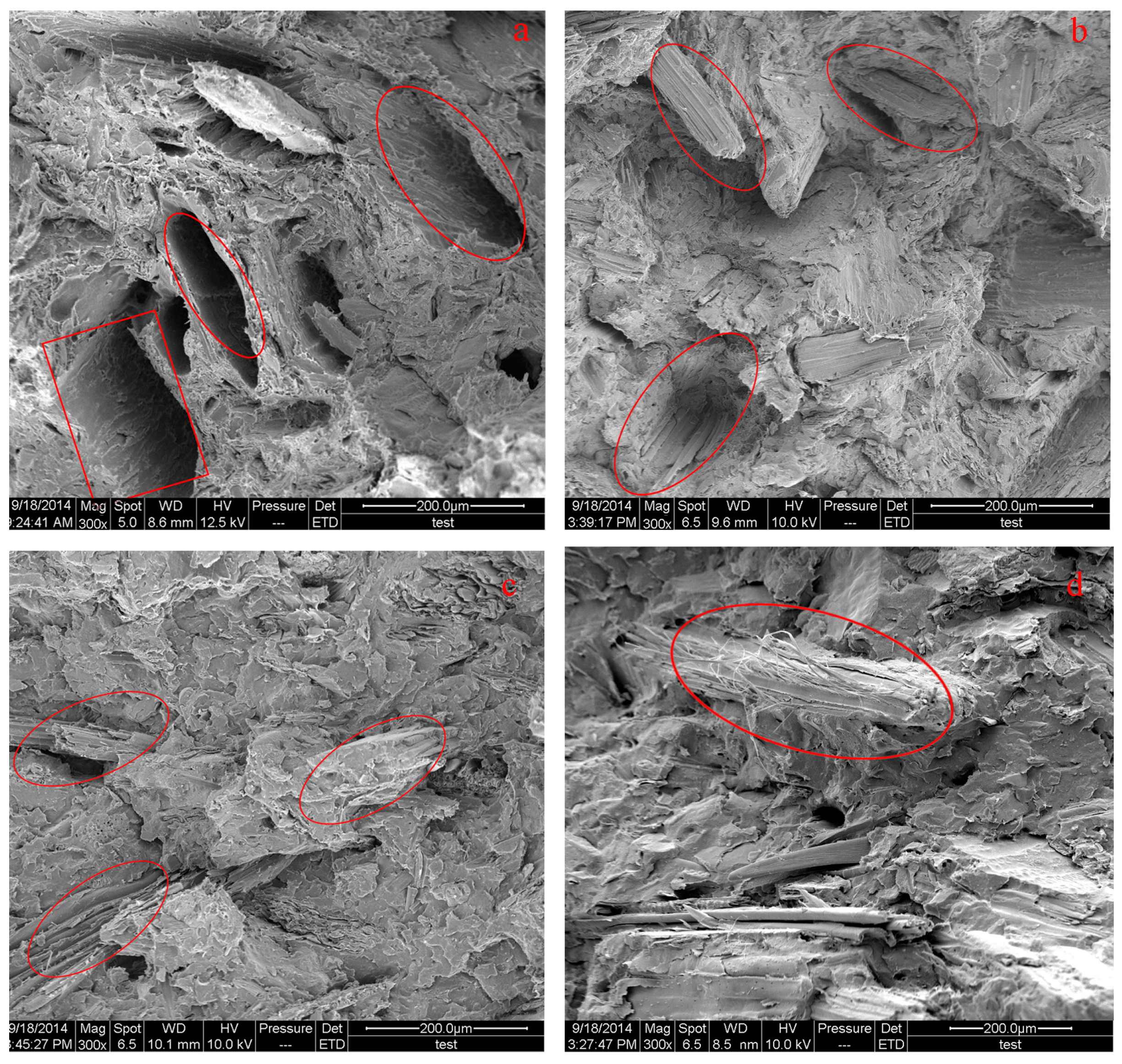 Materials 09 00847 g008