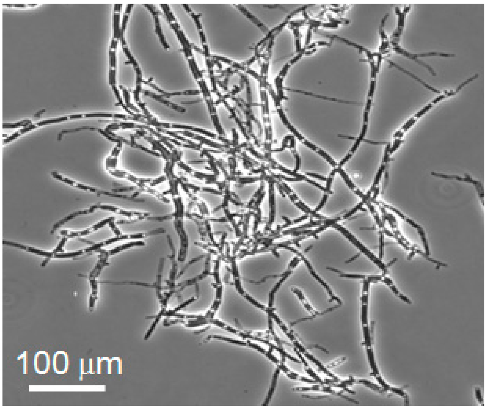 Materials 09 00855 g001