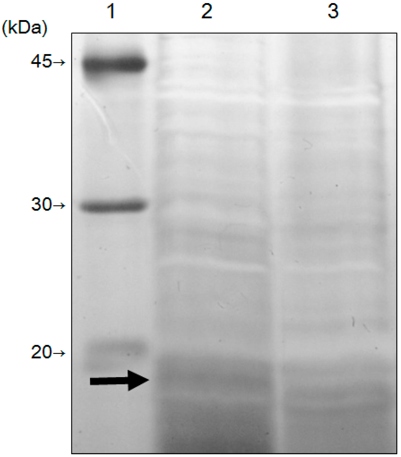 Materials 09 00855 g008