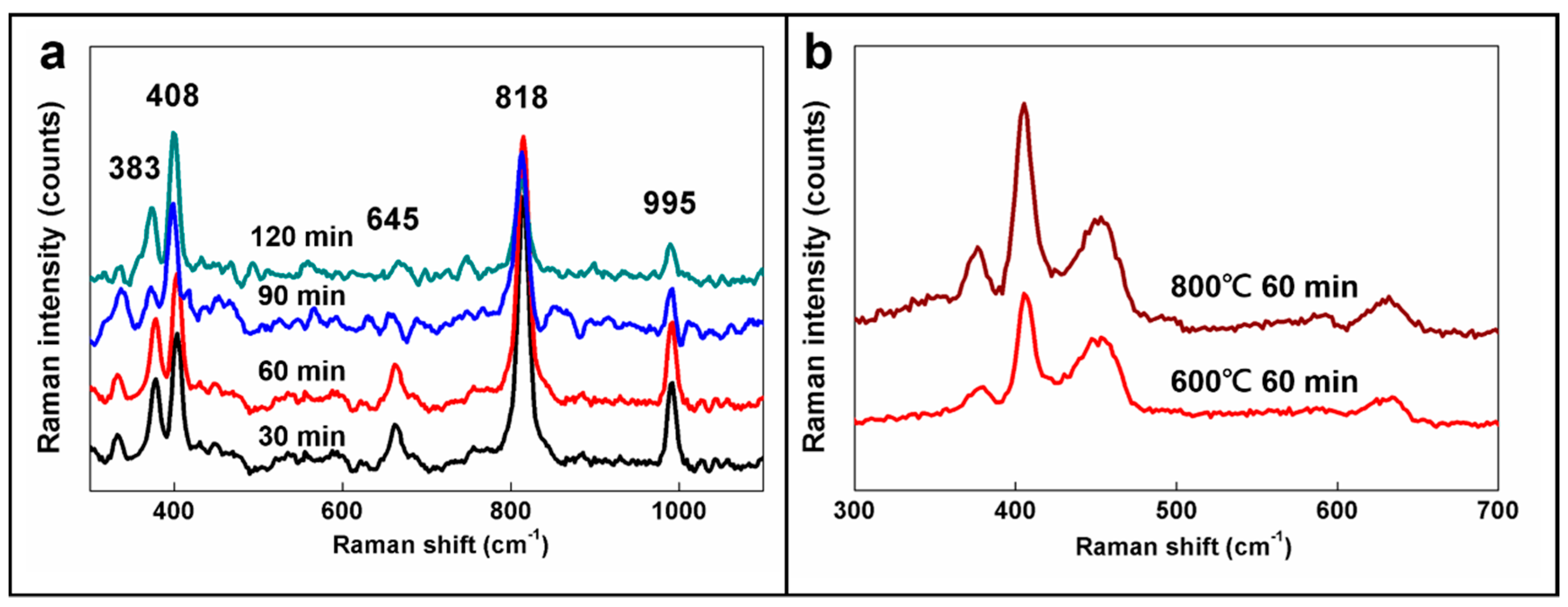 Materials 09 00856 g001