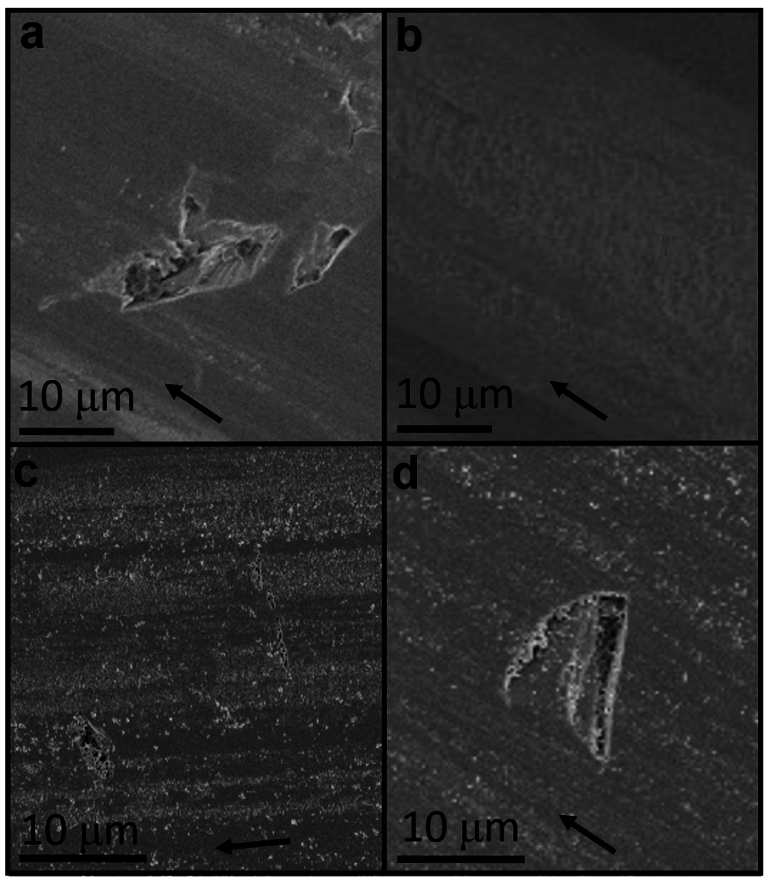 Materials 09 00856 g005