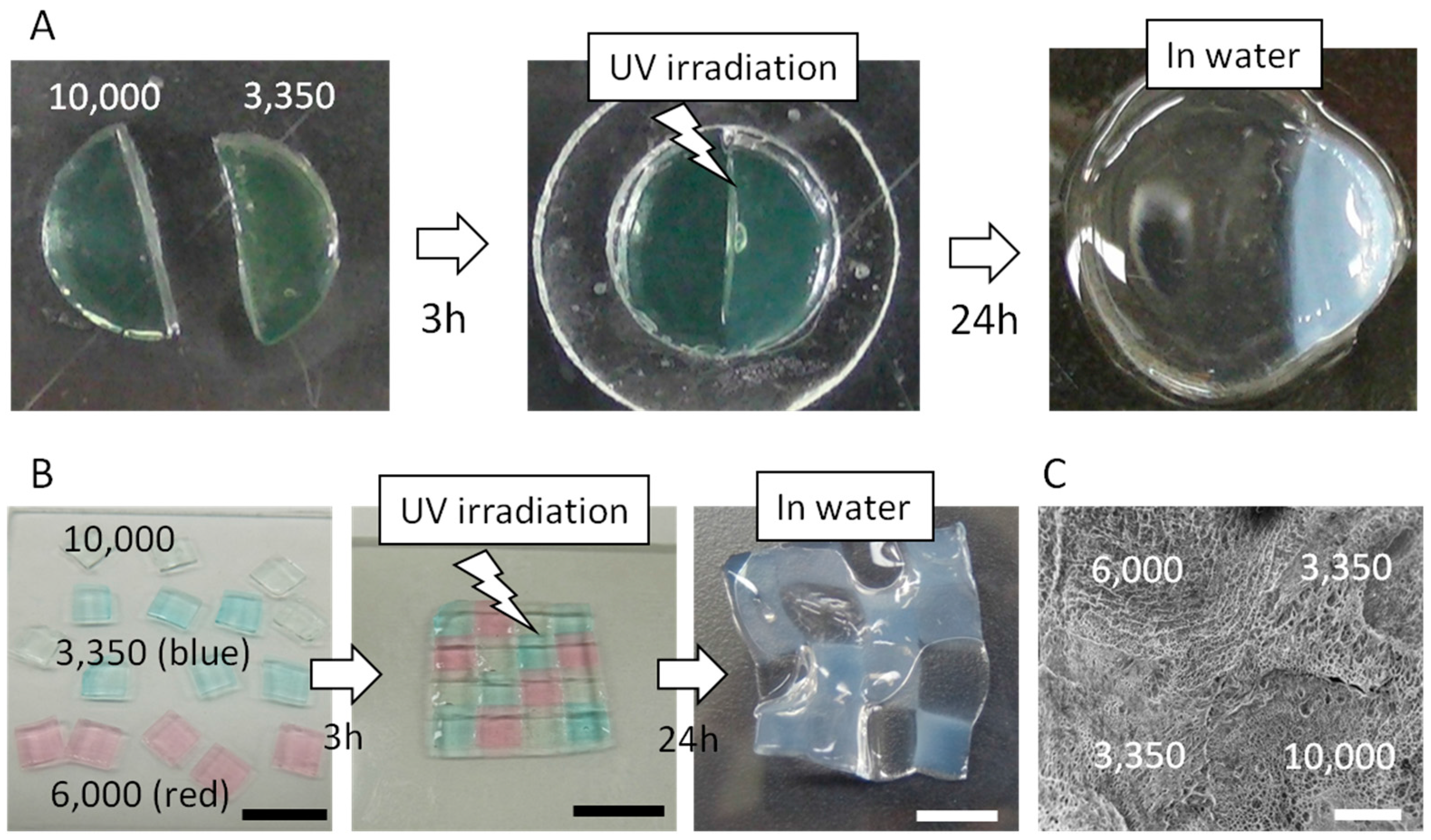 Materials 09 00864 g003