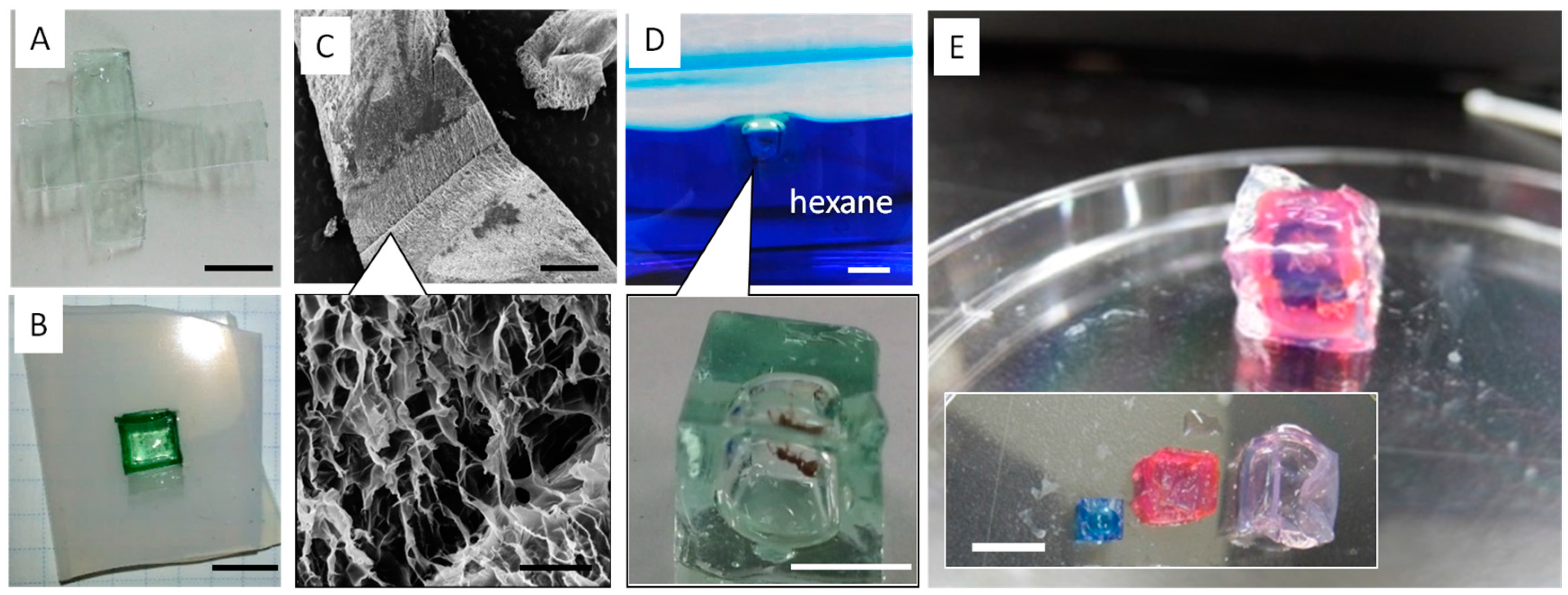 Materials 09 00864 g004