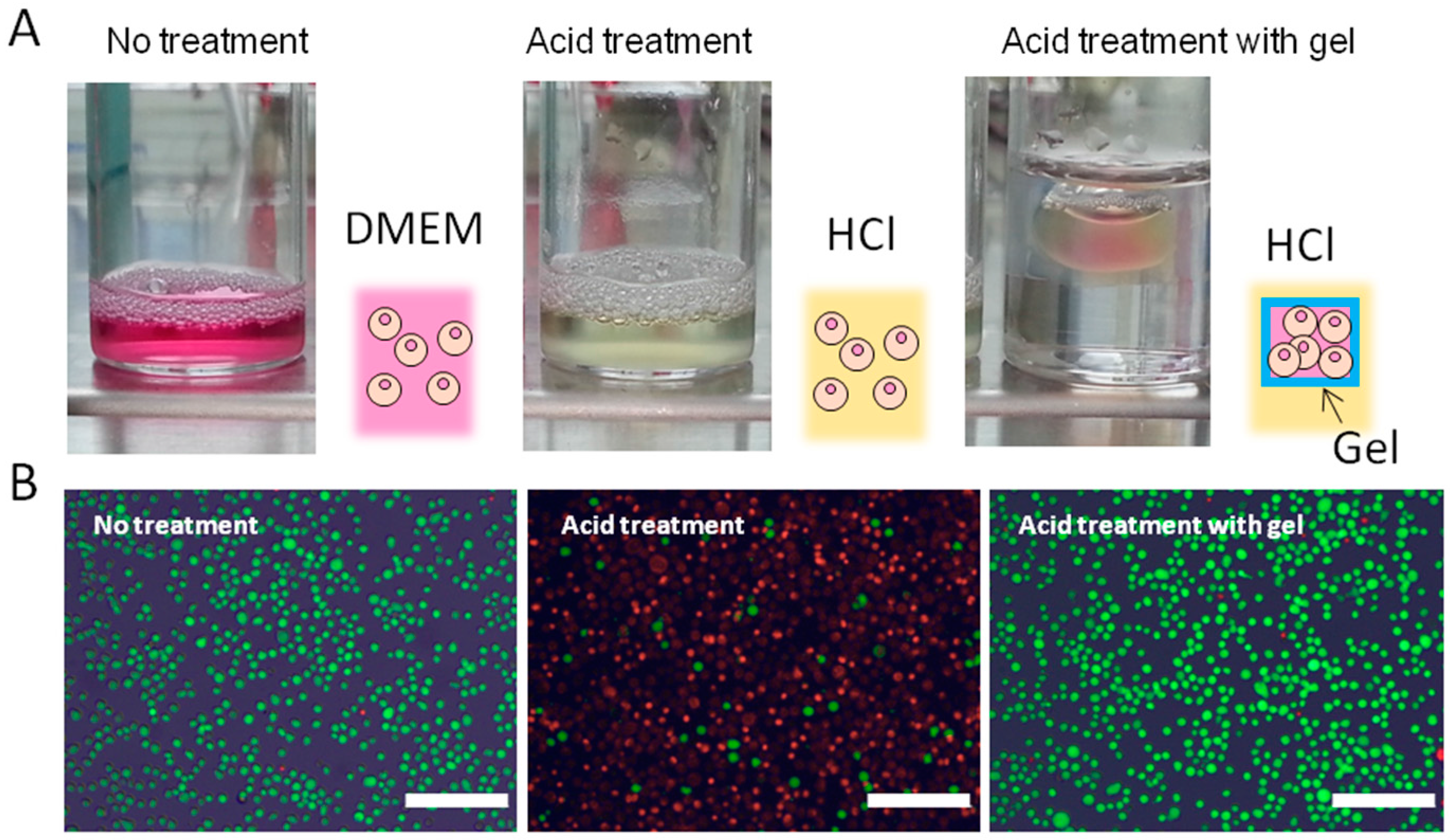 Materials 09 00864 g005a