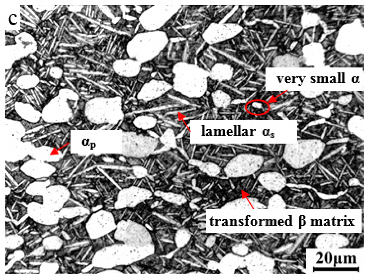 Materials 09 00872 g003b
