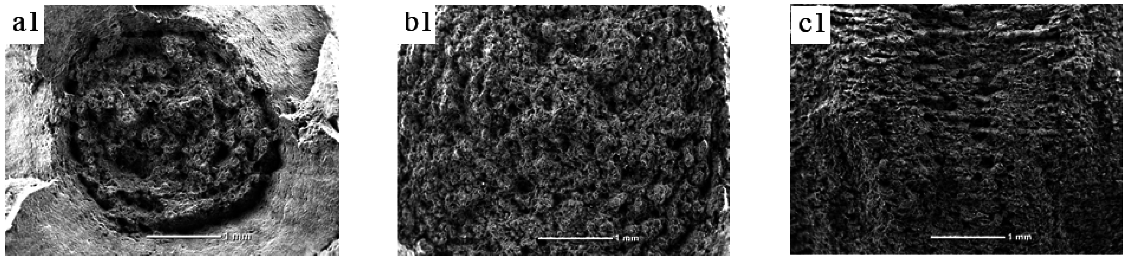 Materials 09 00872 g007a