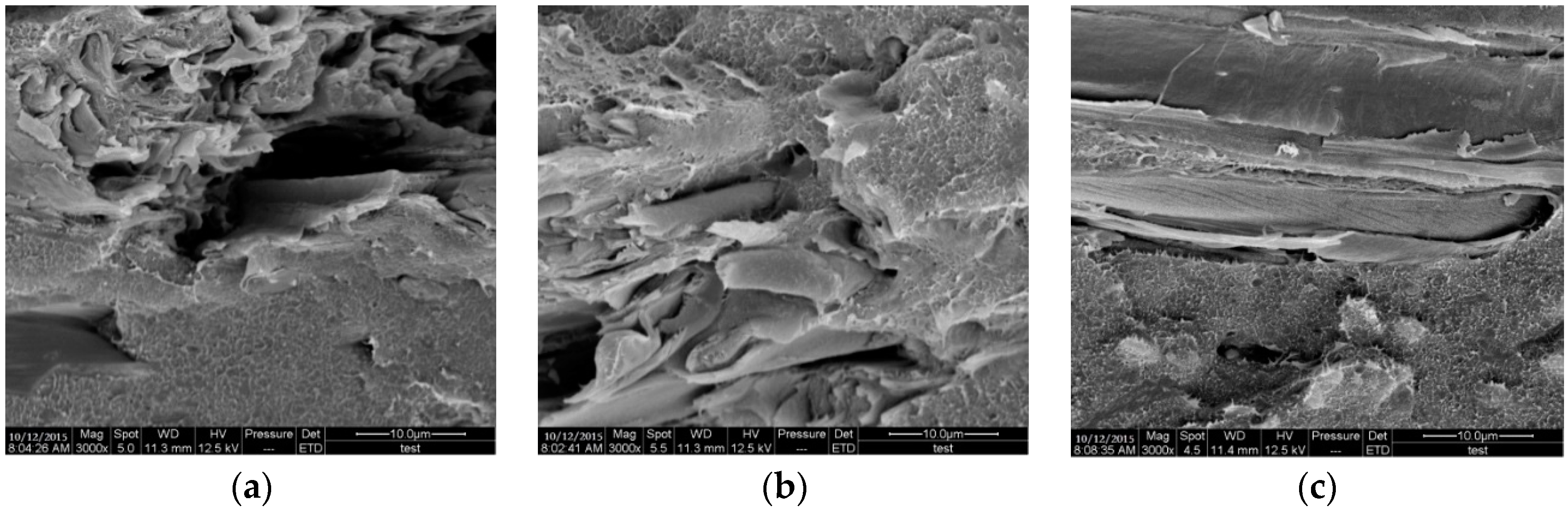 Materials 09 00886 g005
