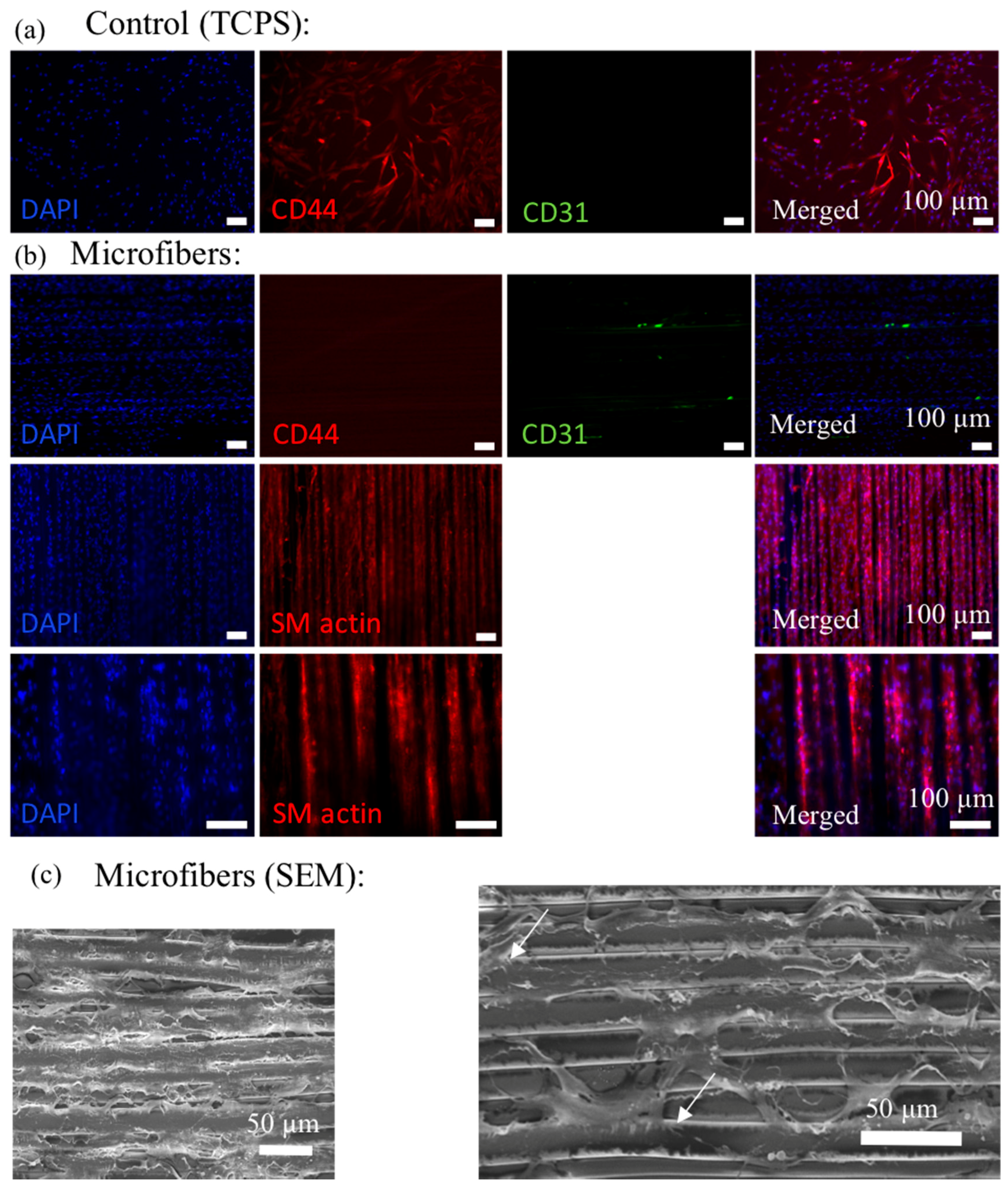 Materials 09 00893 g007