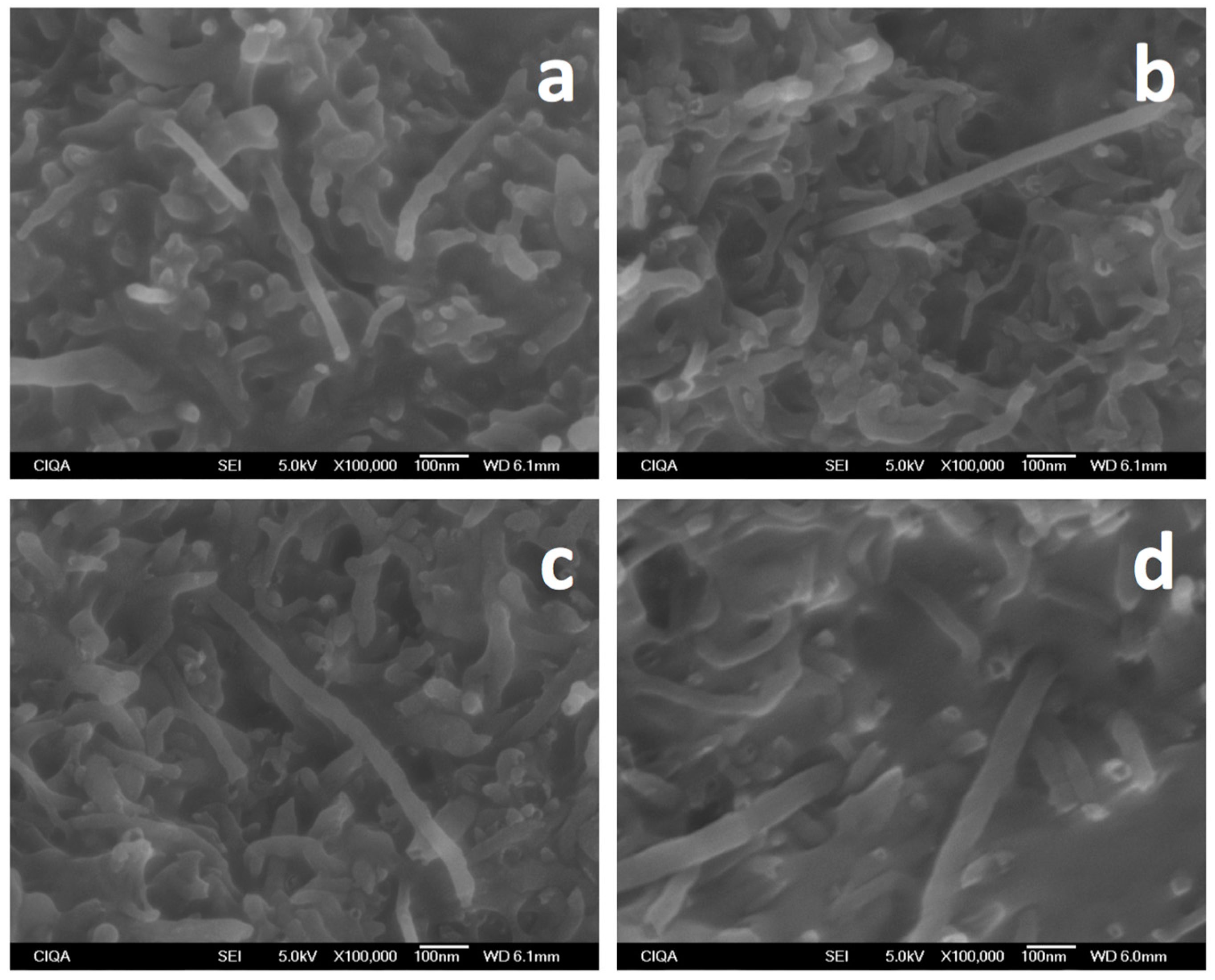 Materials 09 00923 g006