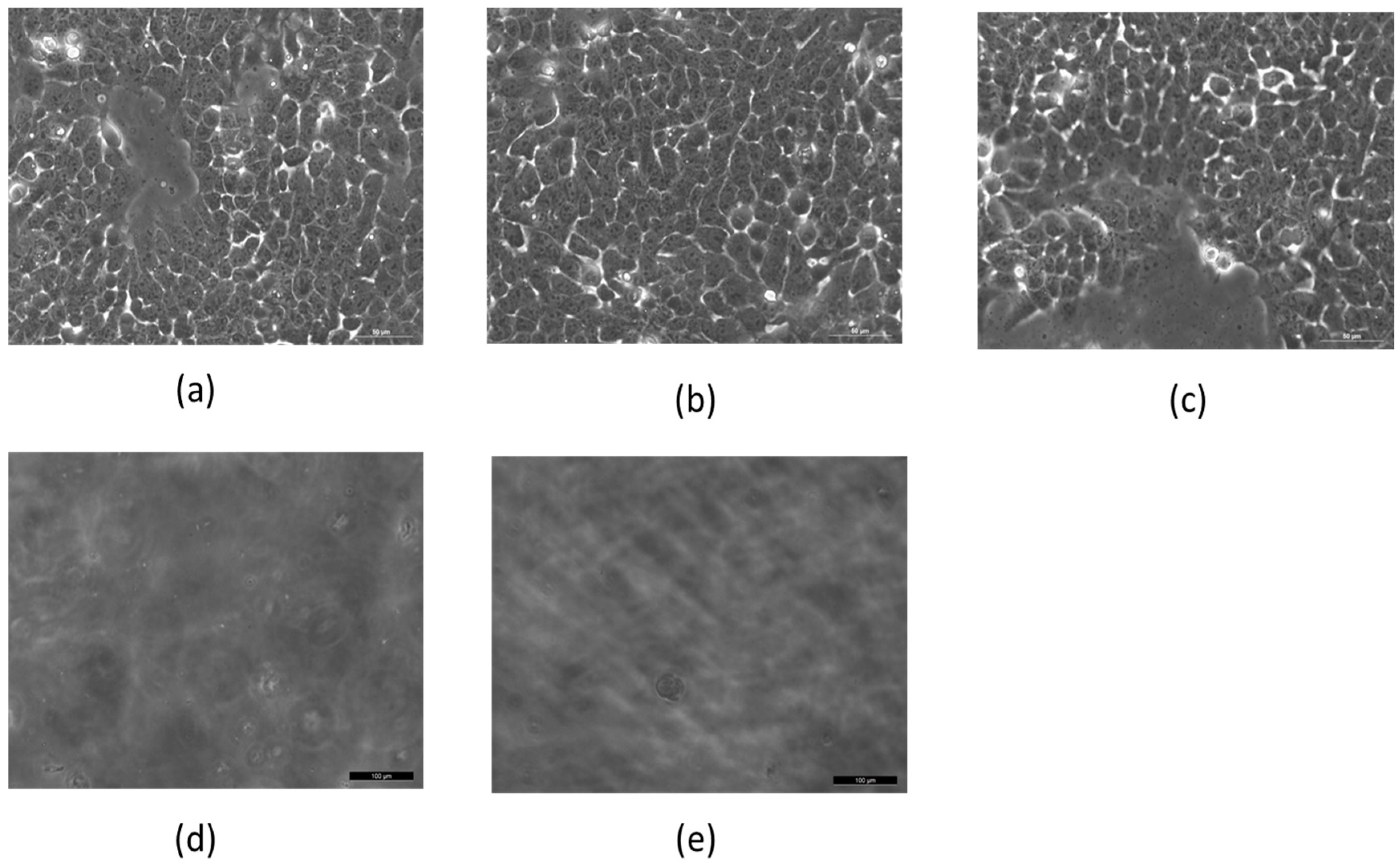 Materials 09 00943 g002