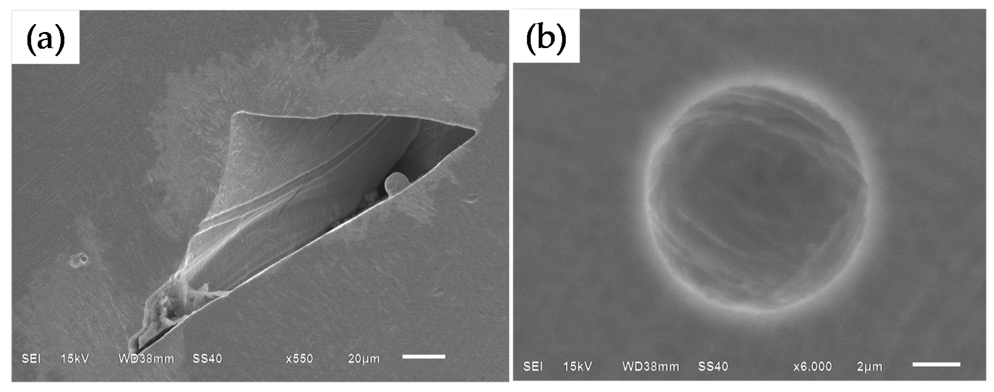 Materials 09 00975 g008