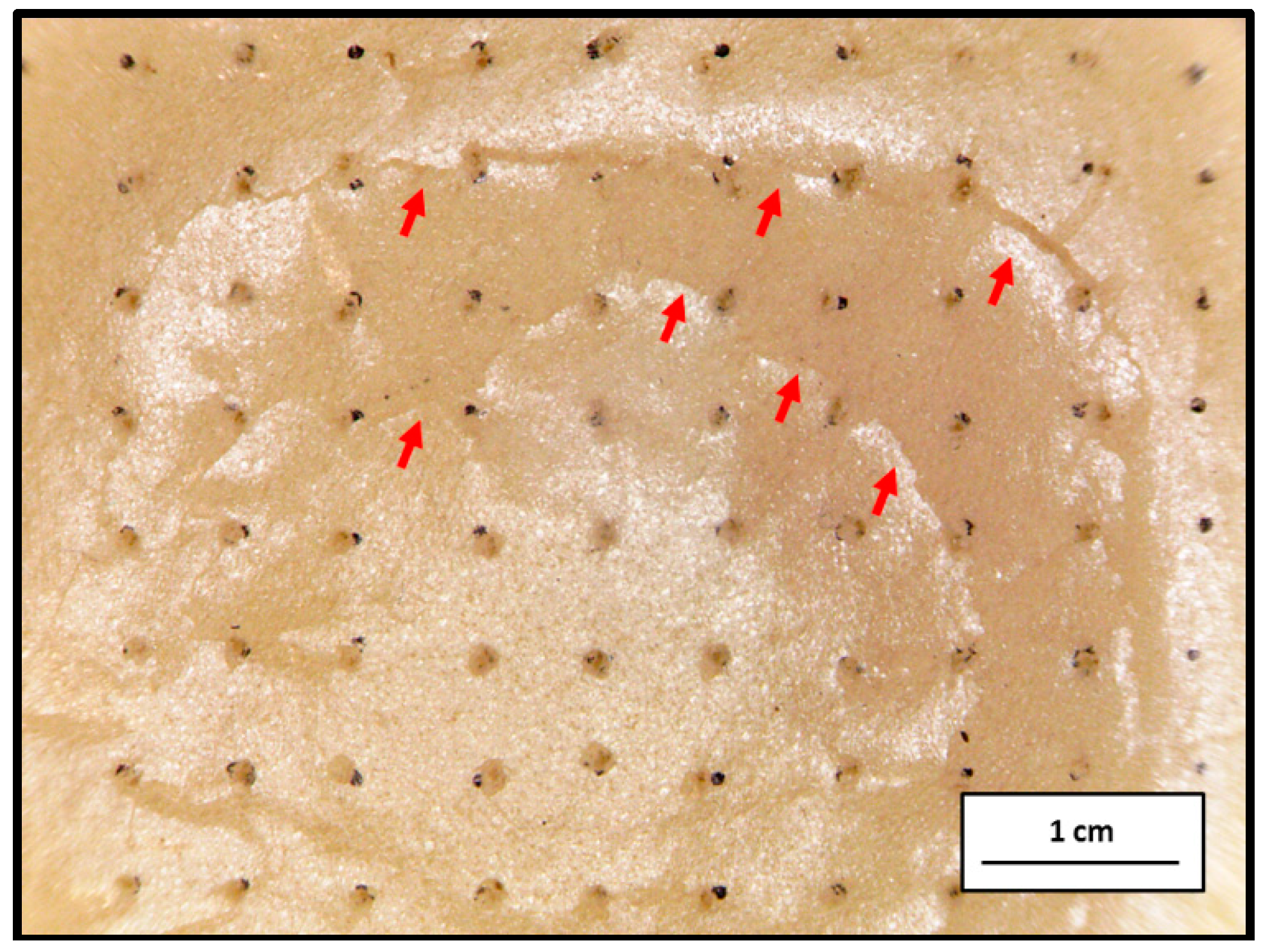 Materials 09 01000 g005
