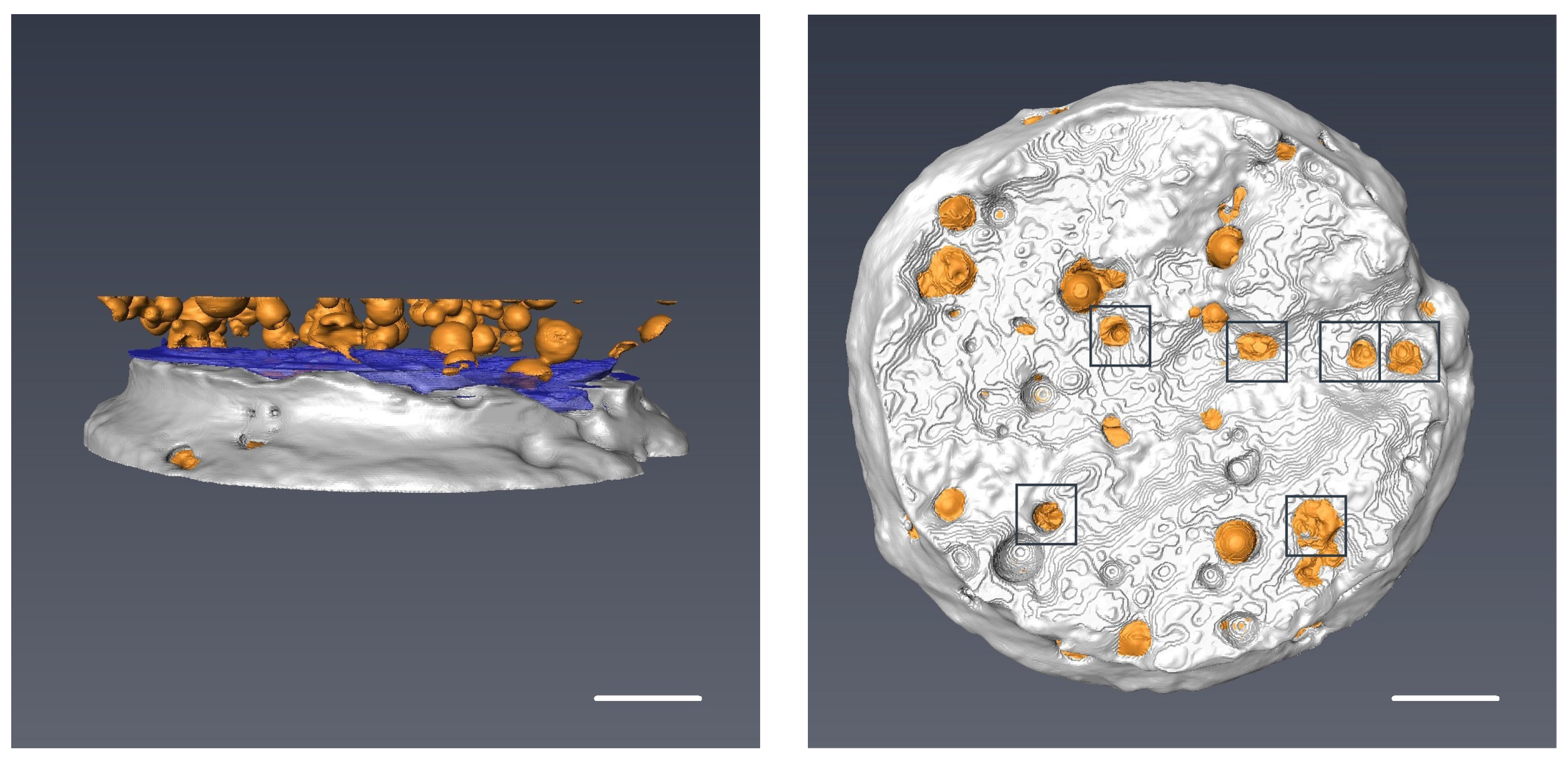 Materials 09 01025 g013