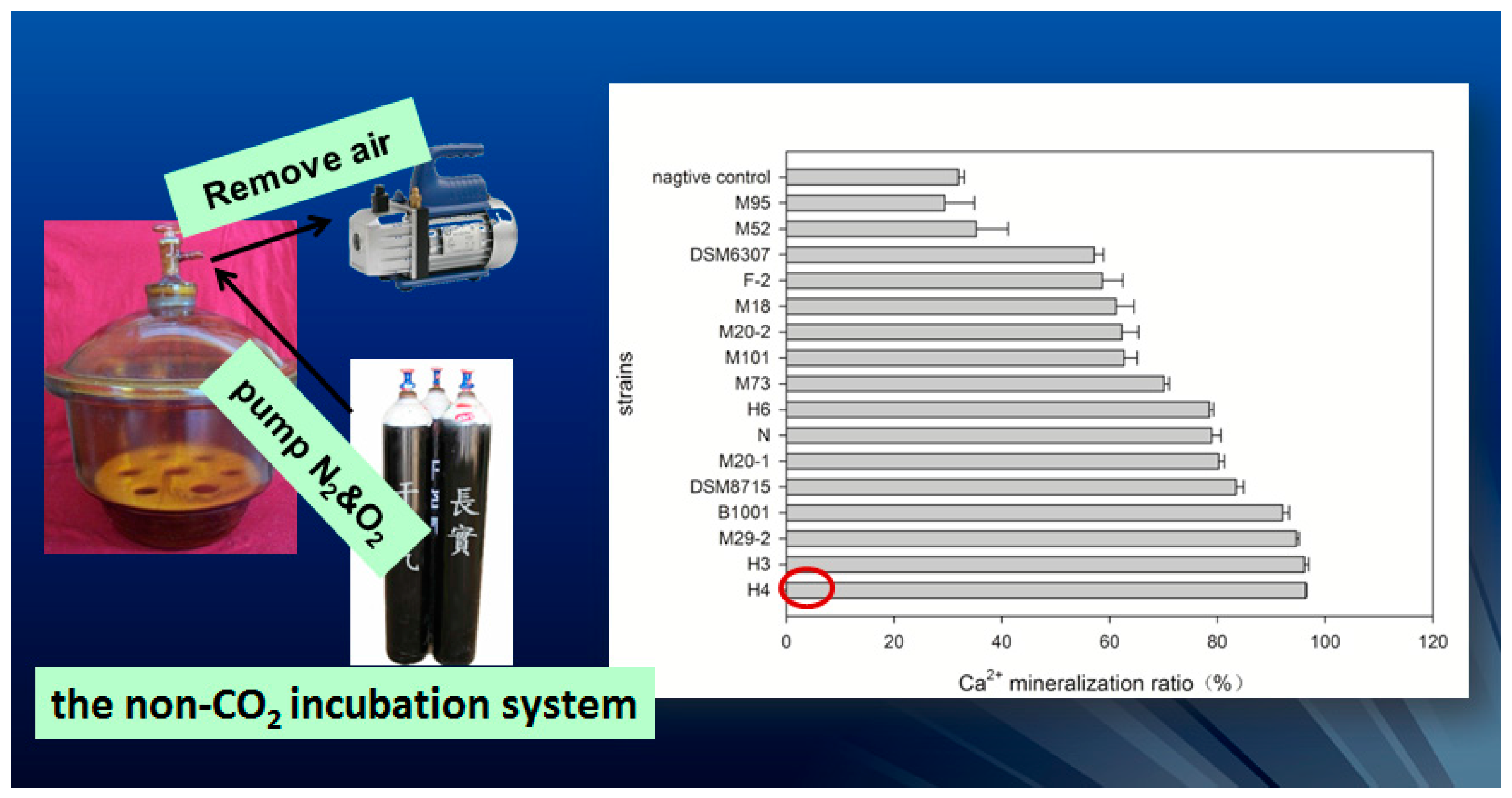 Materials 10 00002 g015