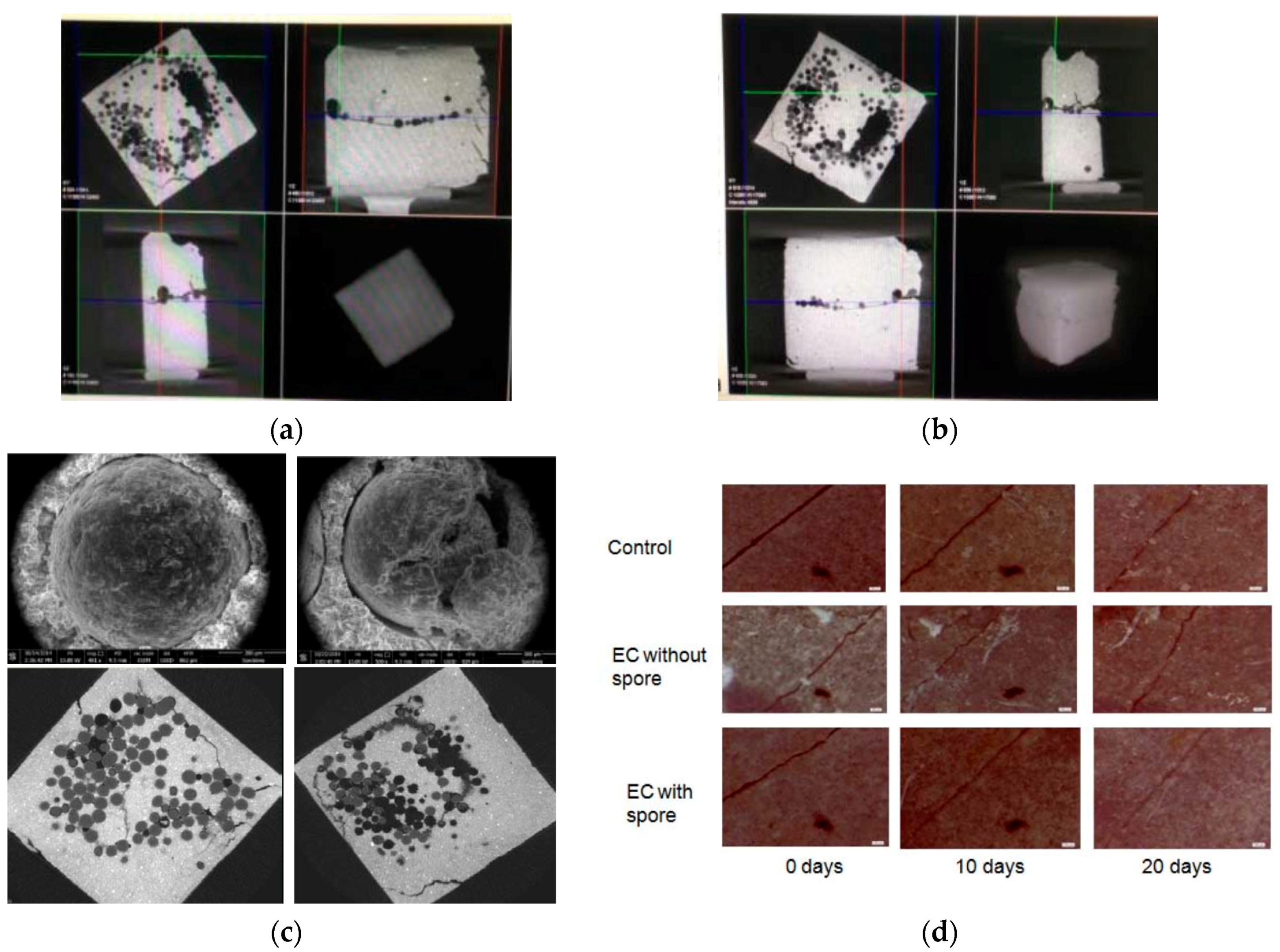 Materials 10 00002 g020