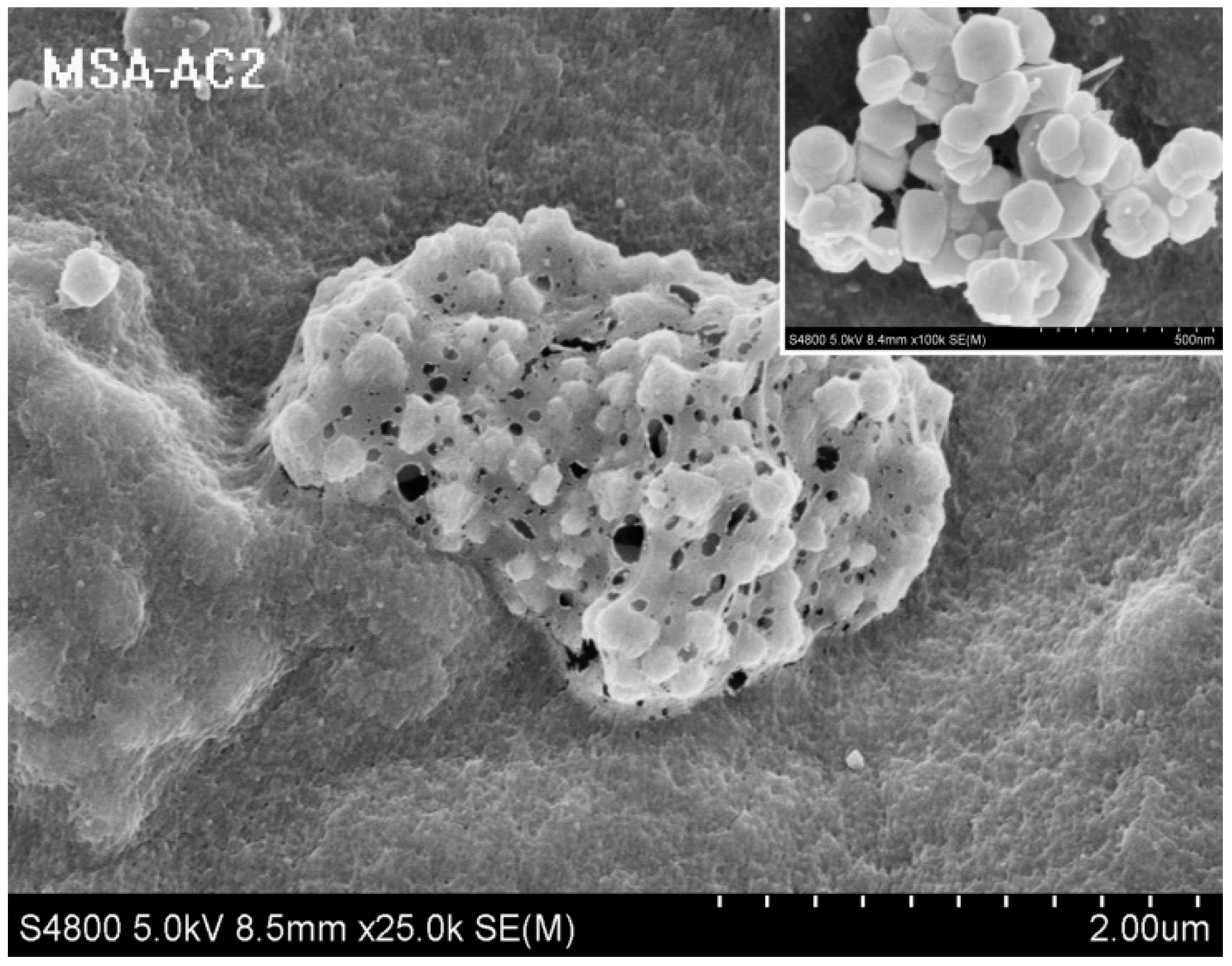 Materials 10 00084 g002b
