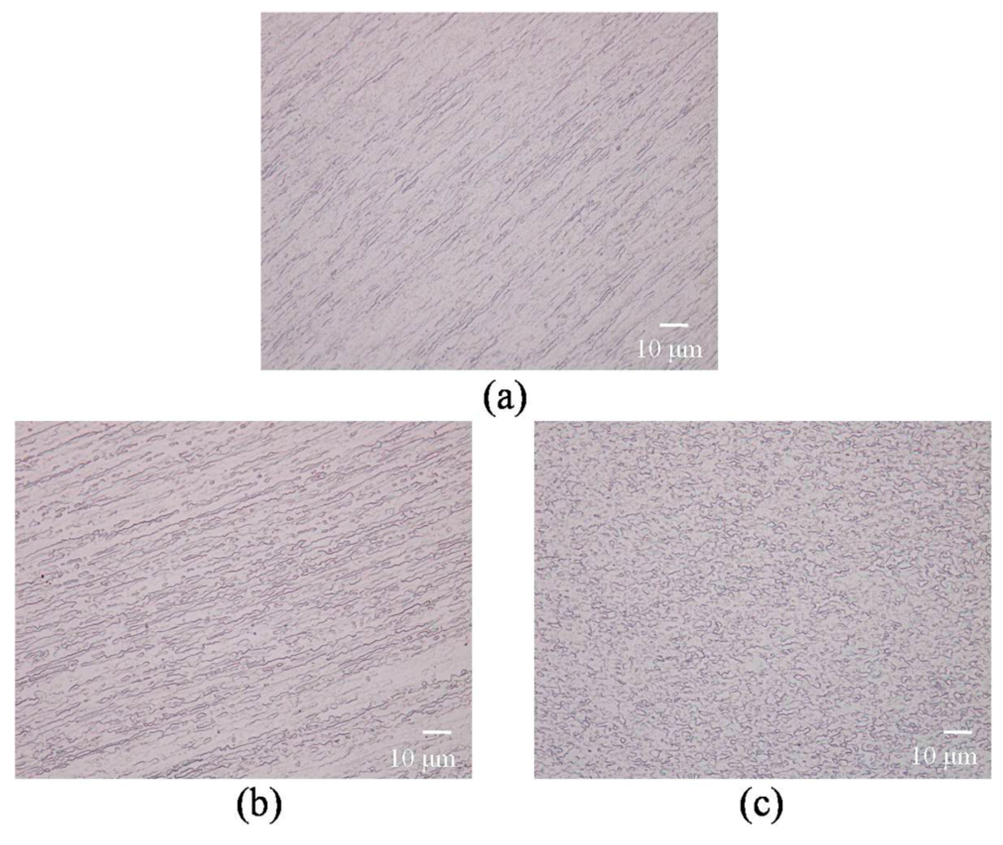 Materials 10 00087 g003