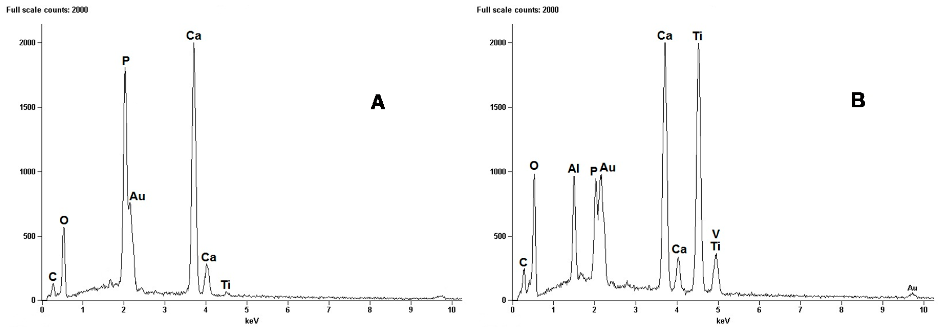 Materials 10 00094 g006