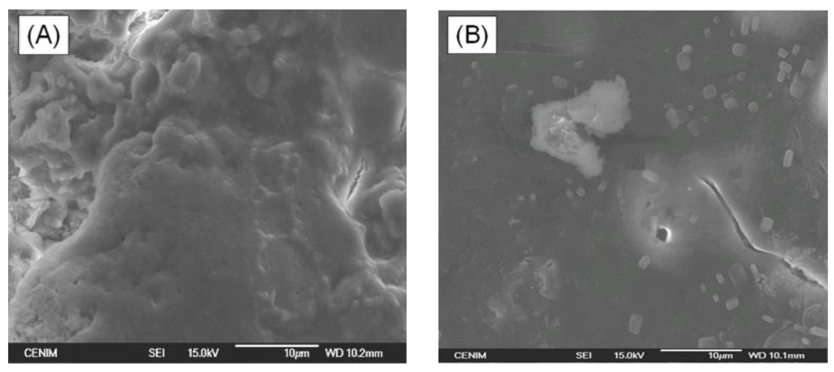 Materials 10 00094 g010