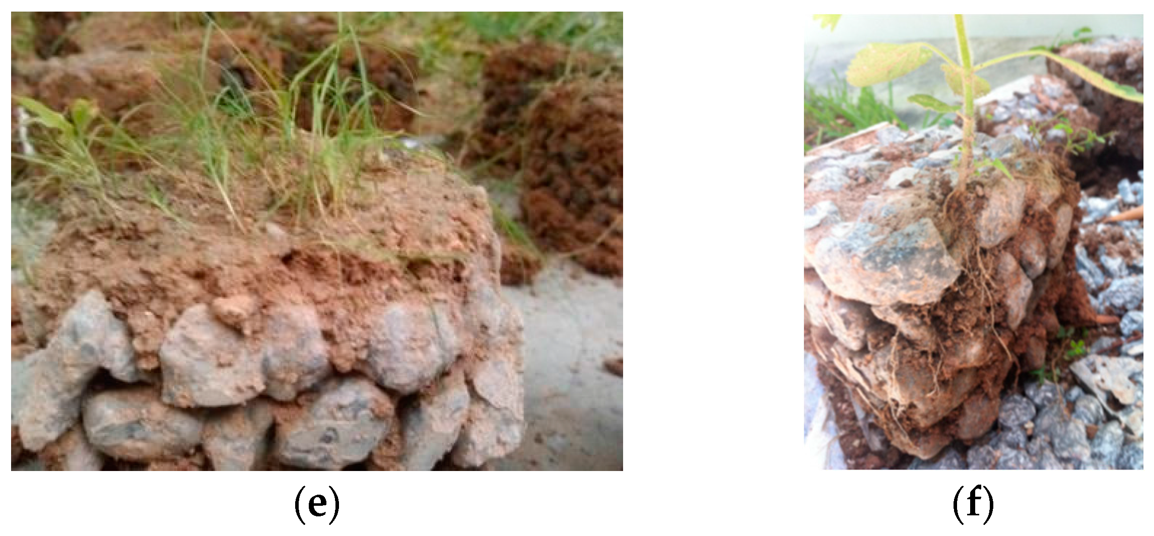 Materials 10 00096 g012b