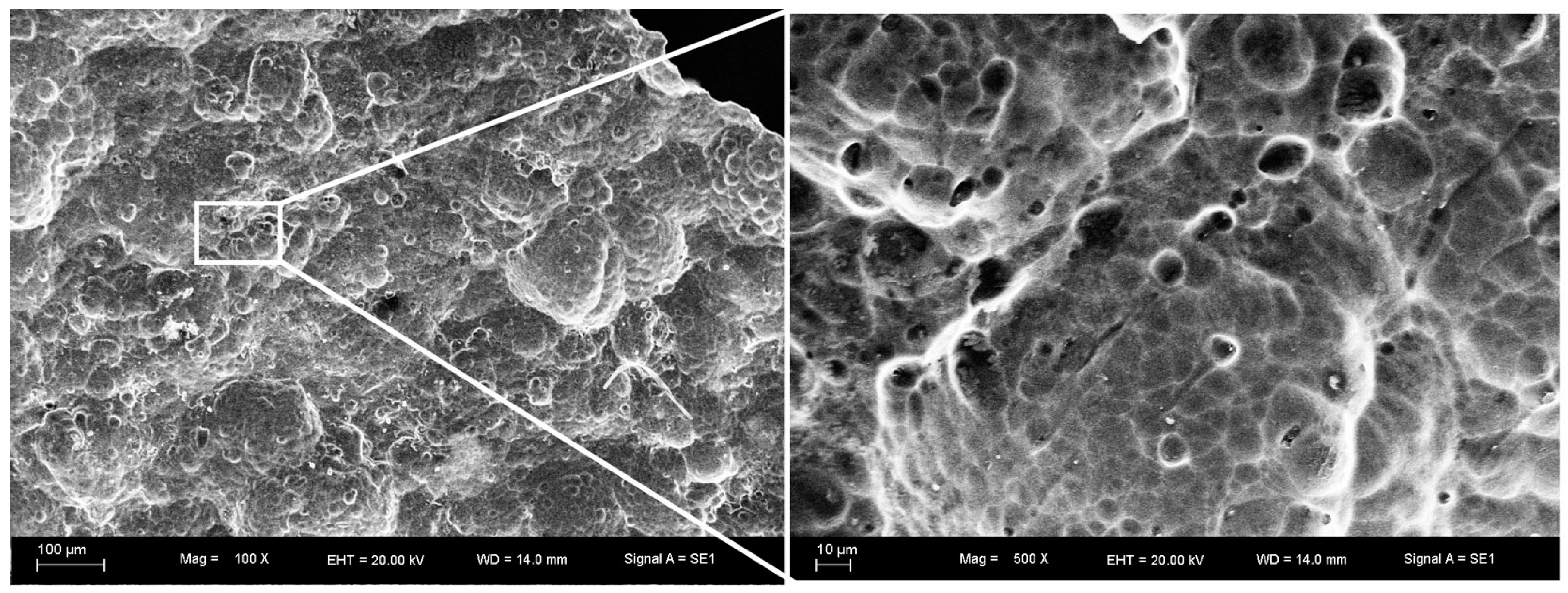 Materials 10 00098 g002