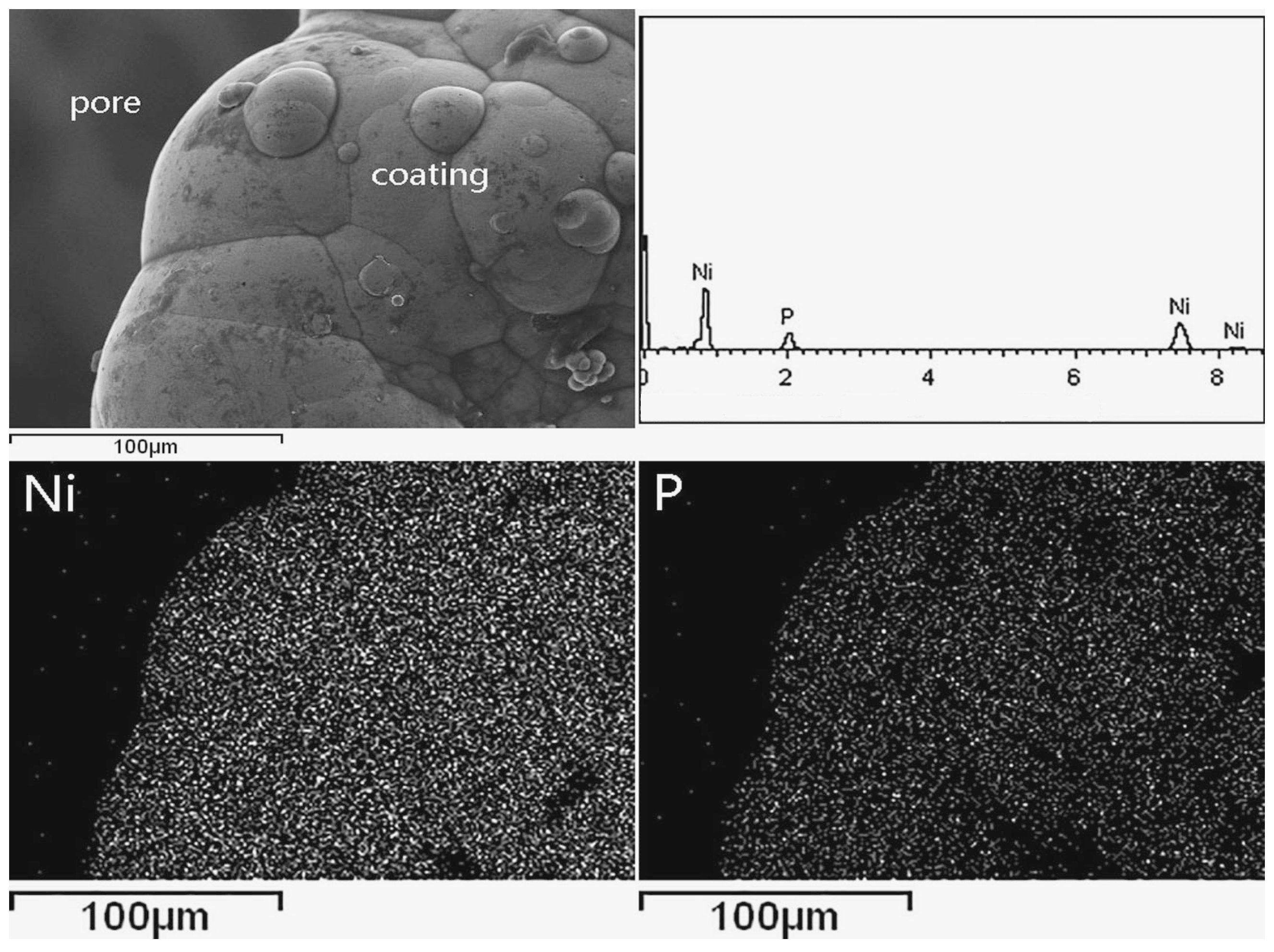 Materials 10 00098 g005