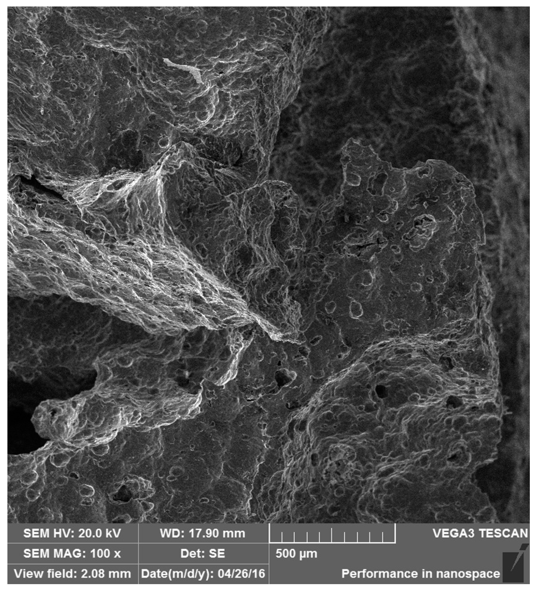 Materials 10 00098 g010