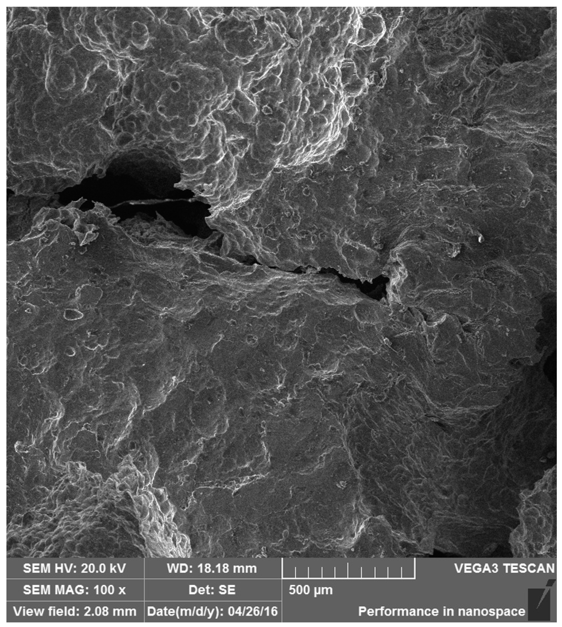 Materials 10 00098 g012