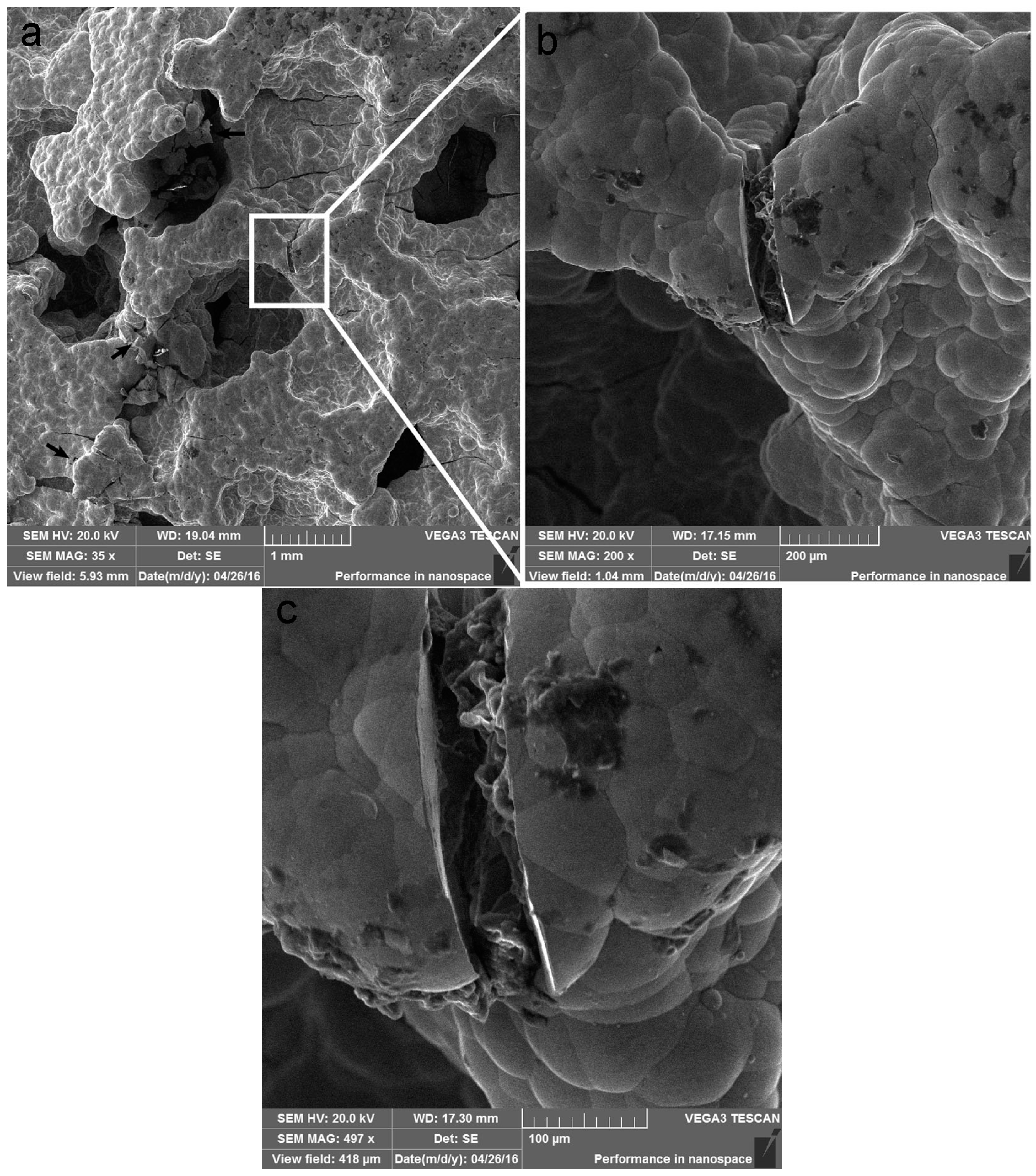 Materials 10 00098 g013