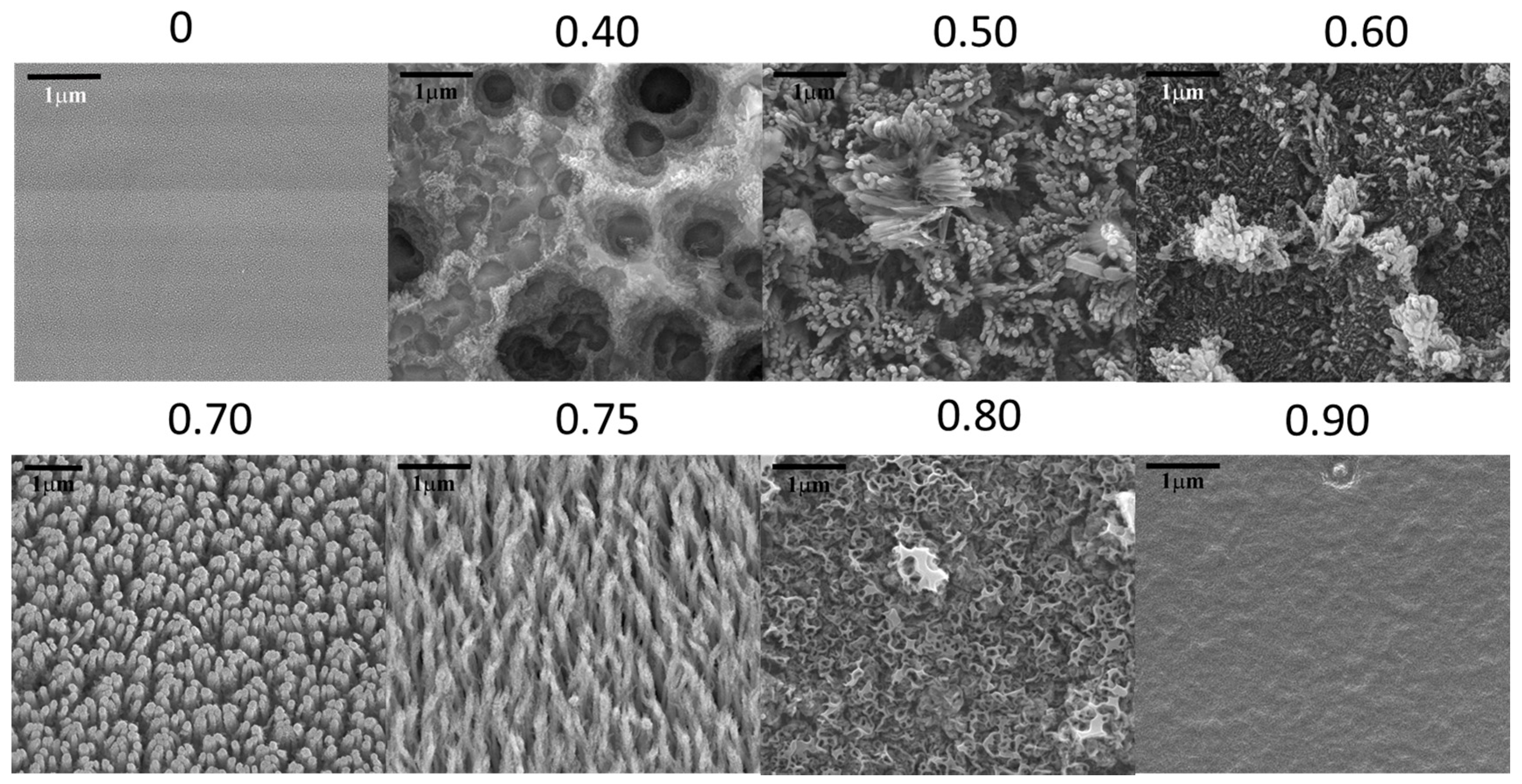 Materials 10 00102 g001