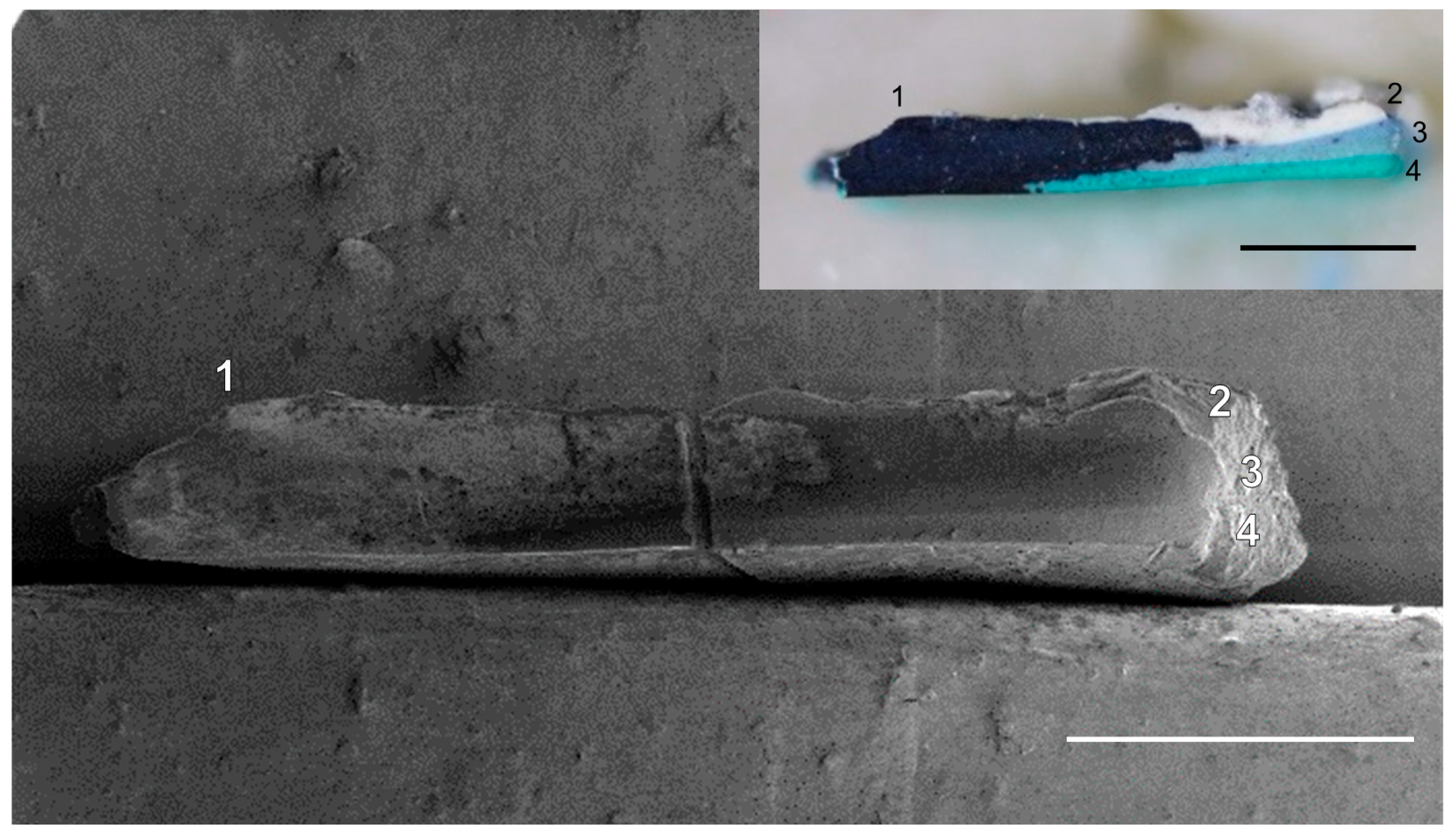 Materials 10 00107 g005