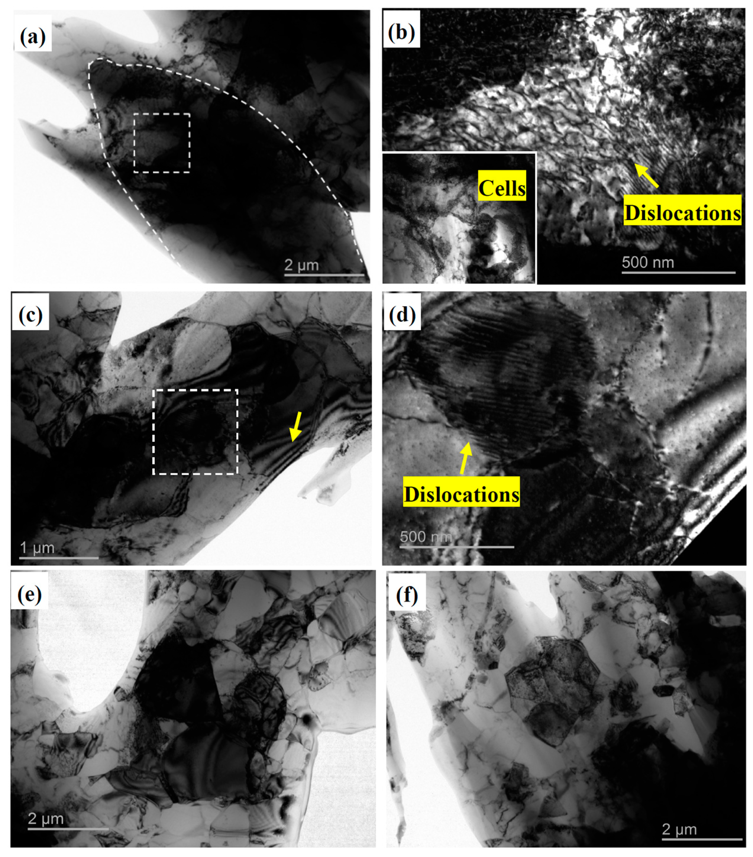 Materials 10 00109 g007
