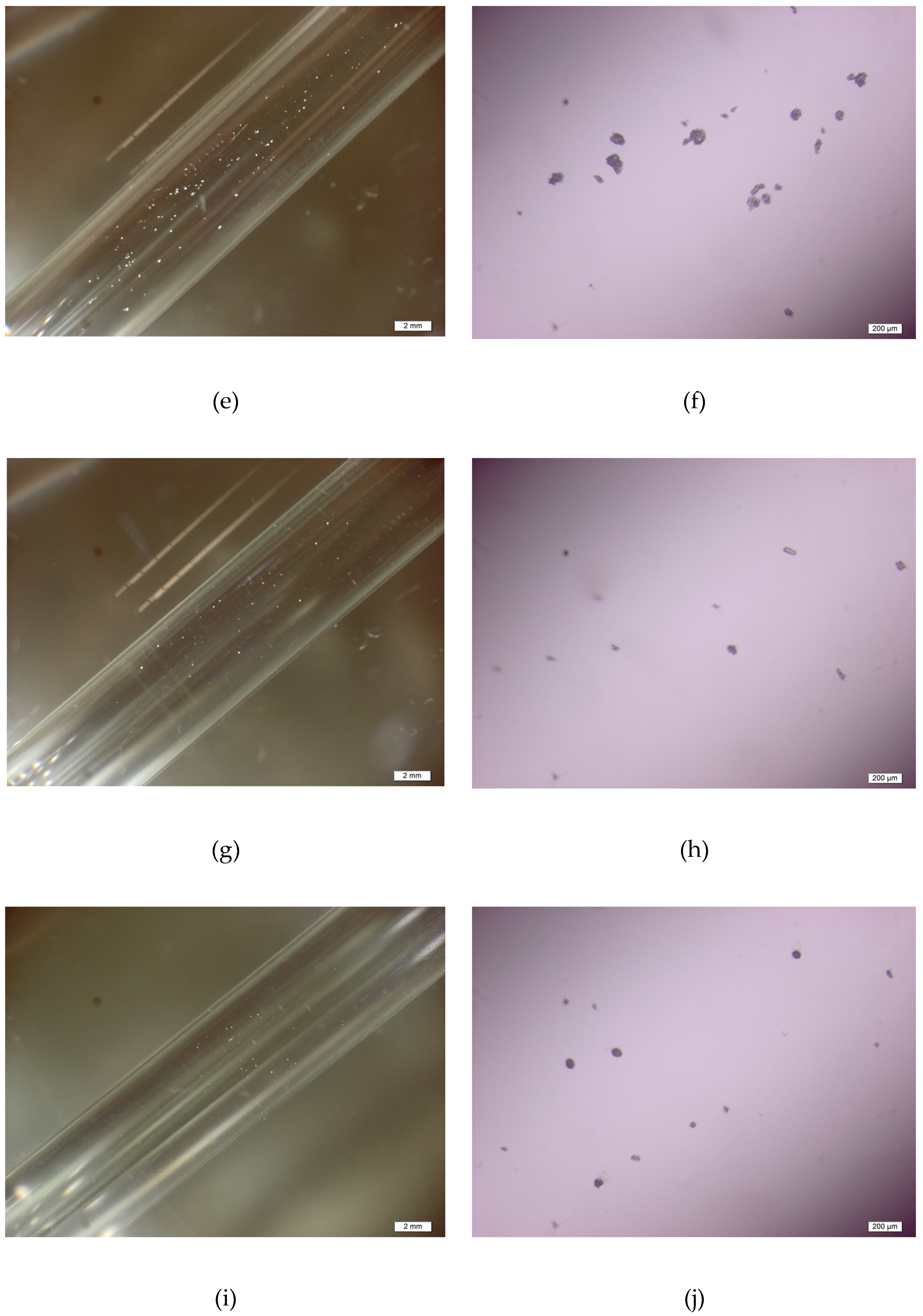 Materials 10 00116 g002b