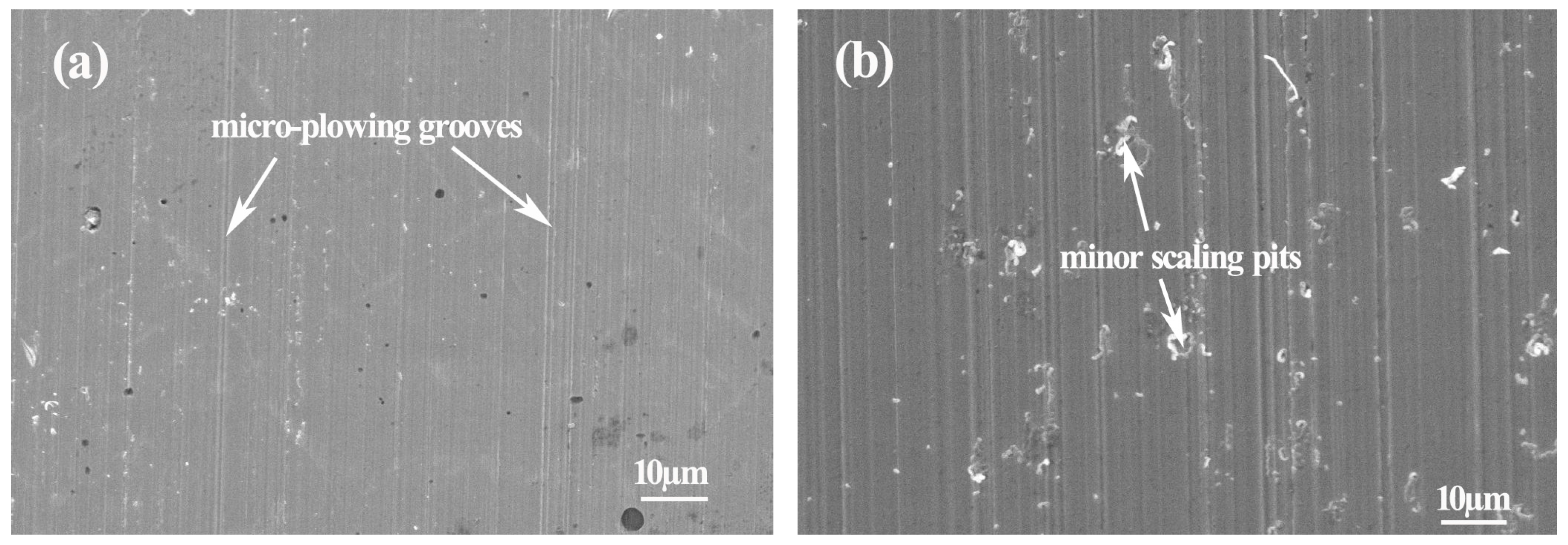 Materials 10 00130 g006