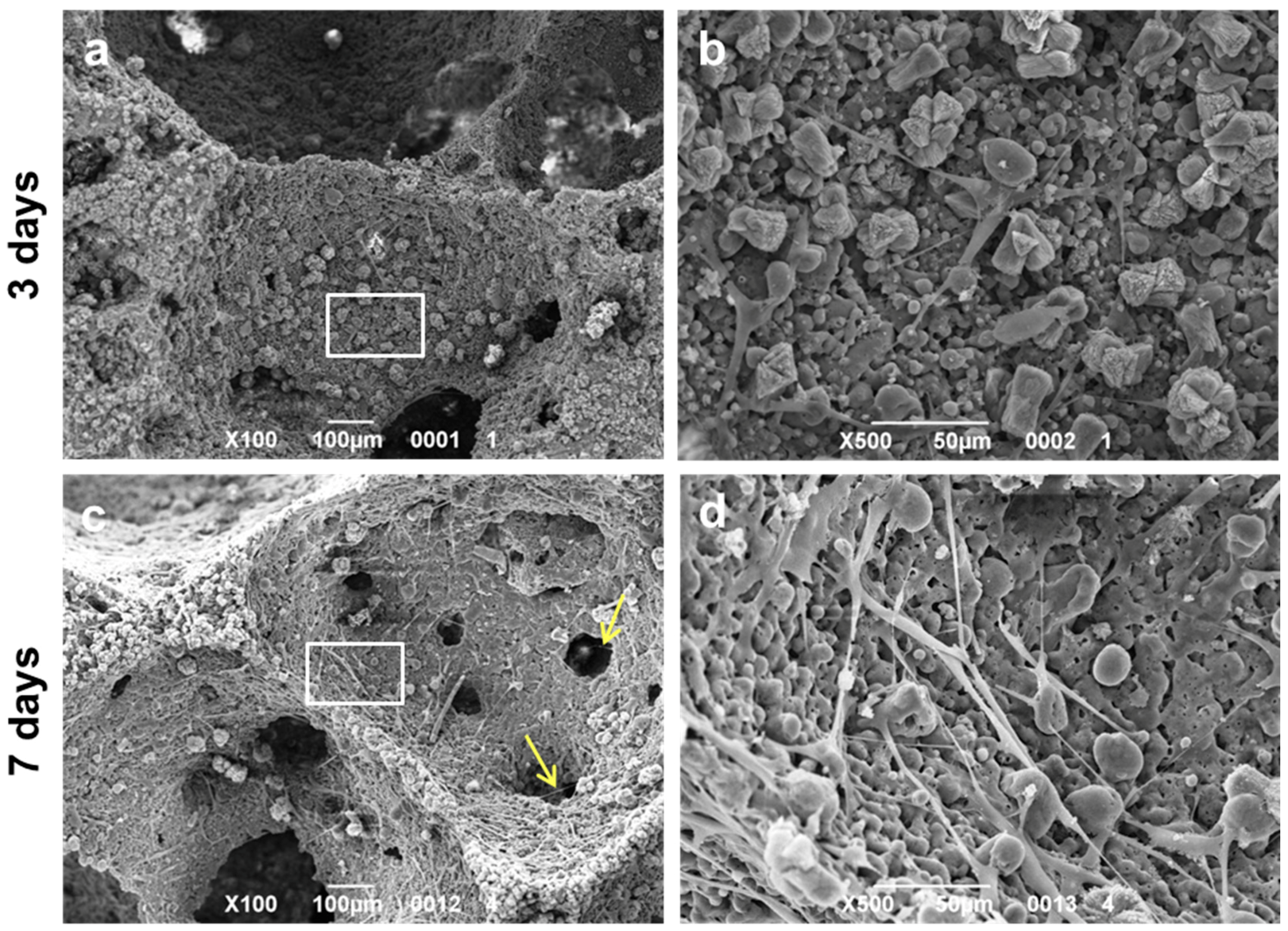 Materials 10 00171 g011