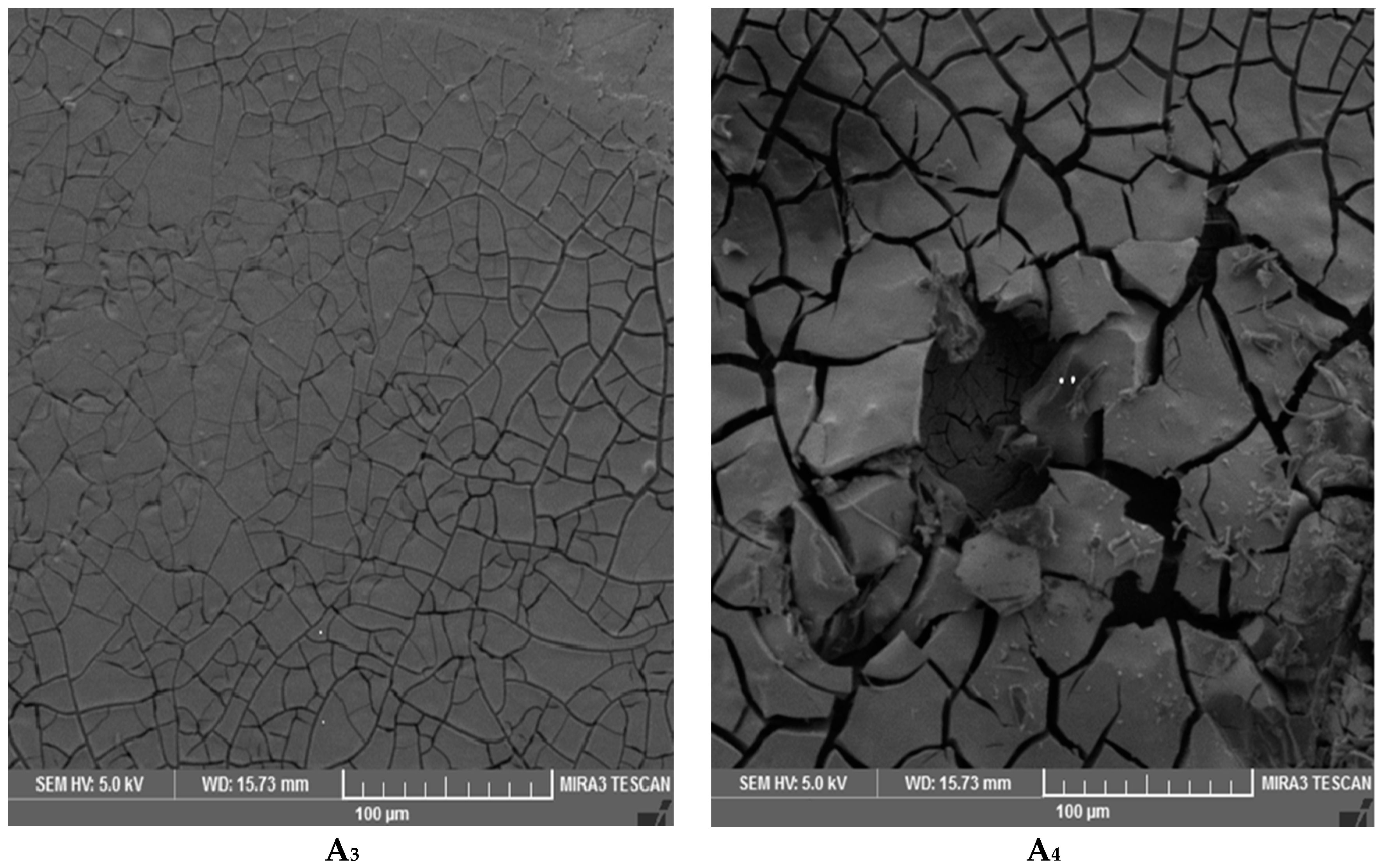 Materials 10 00180 g011b