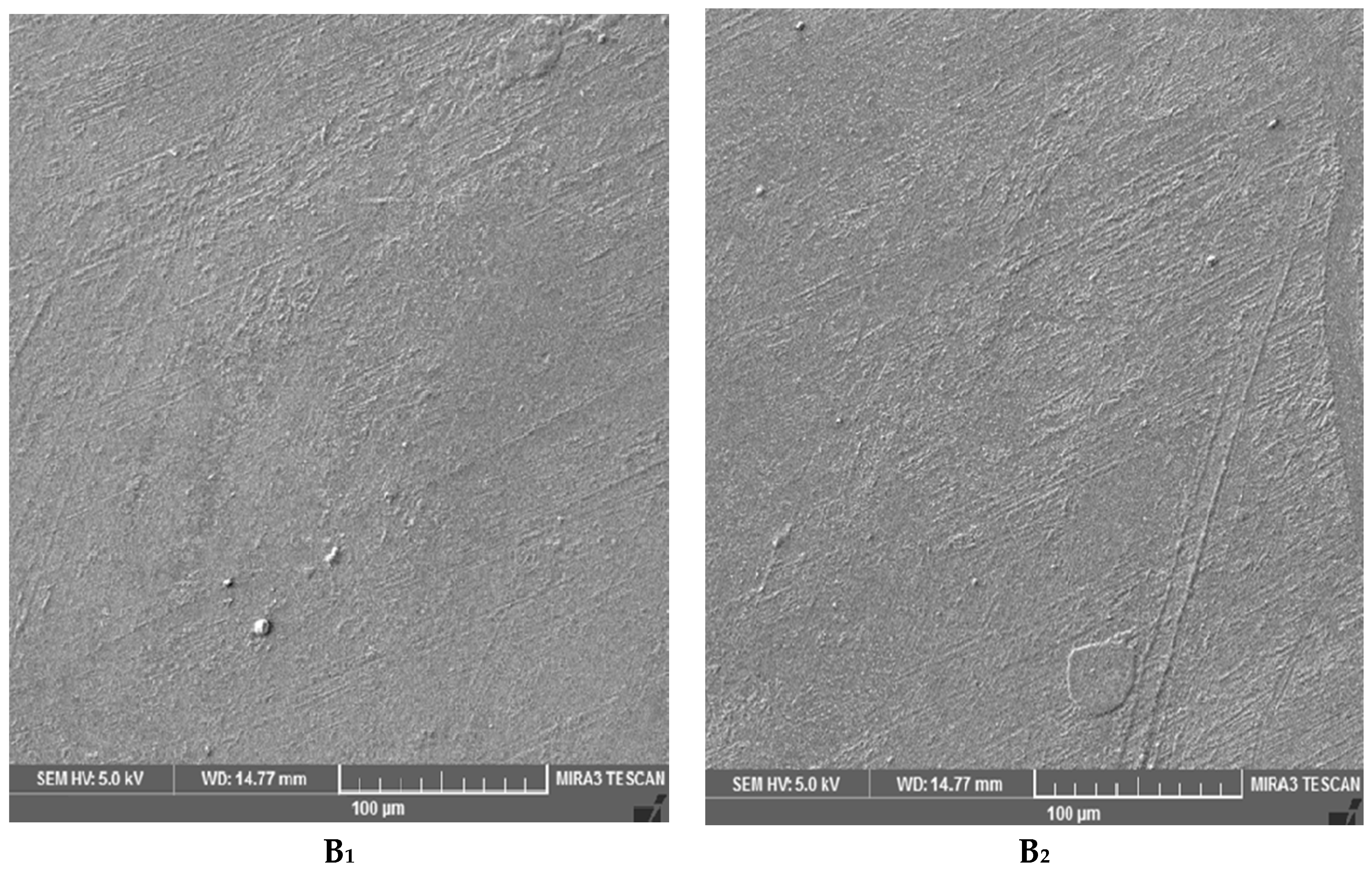 Materials 10 00180 g012a