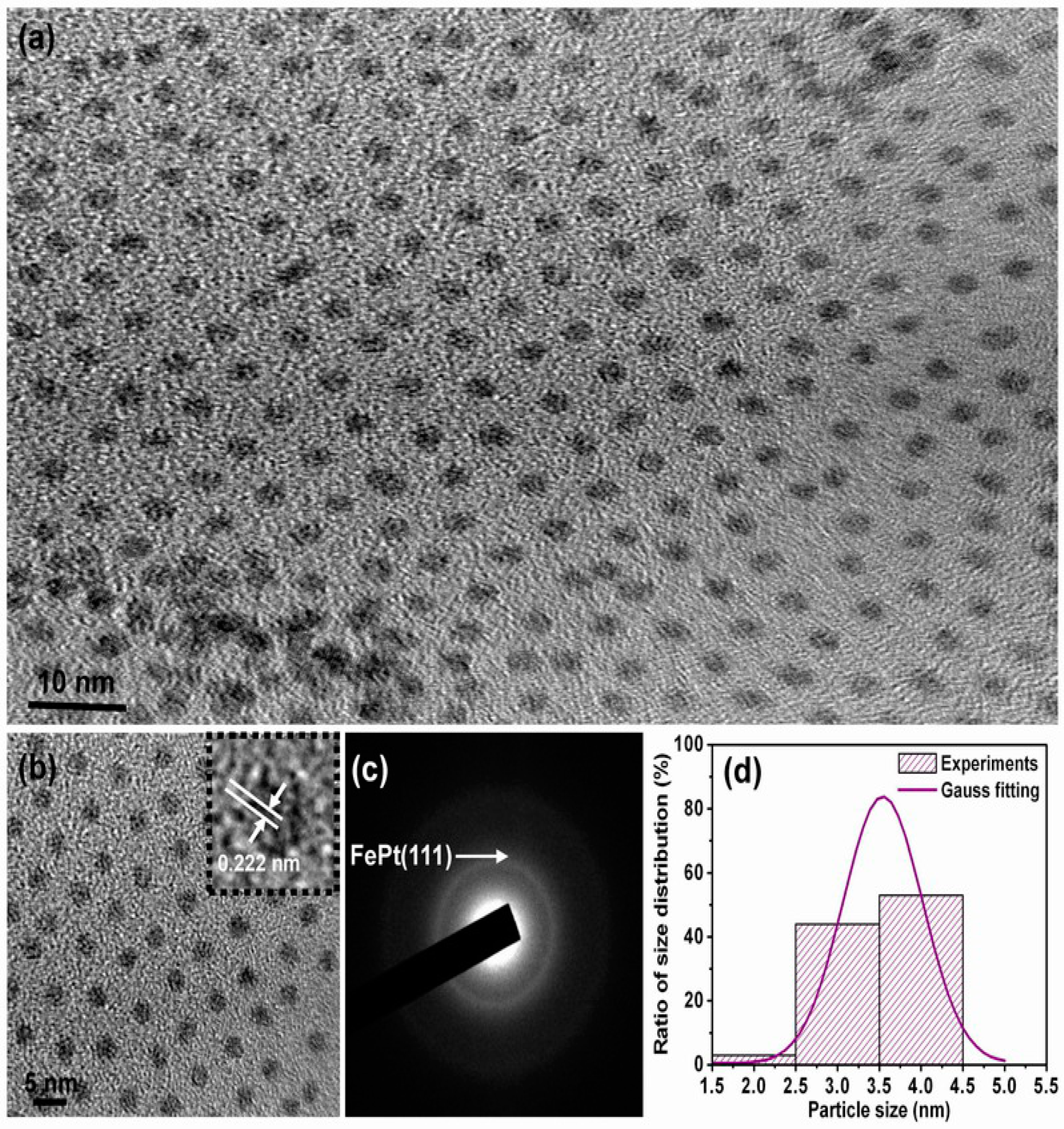 Materials 10 00181 g001