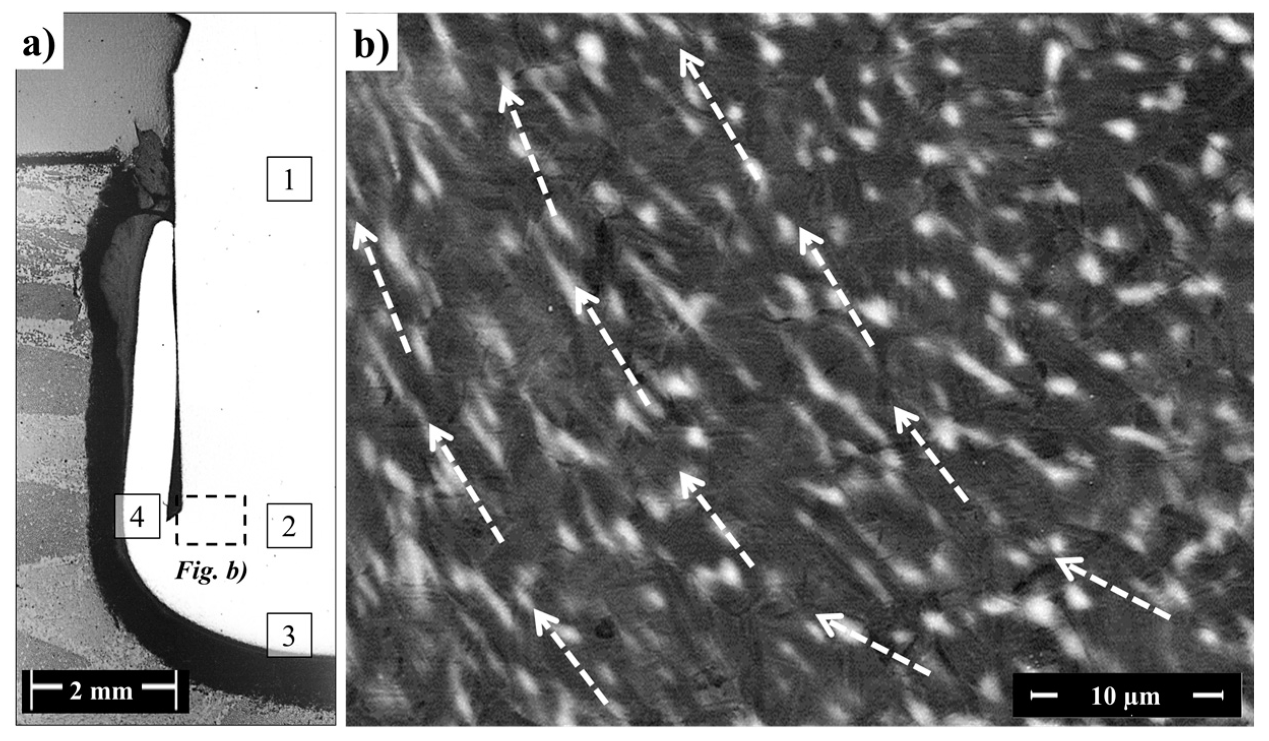 Materials 10 00184 g015