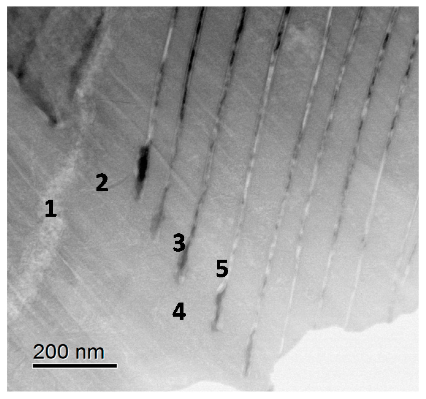 Materials 10 00199 g010