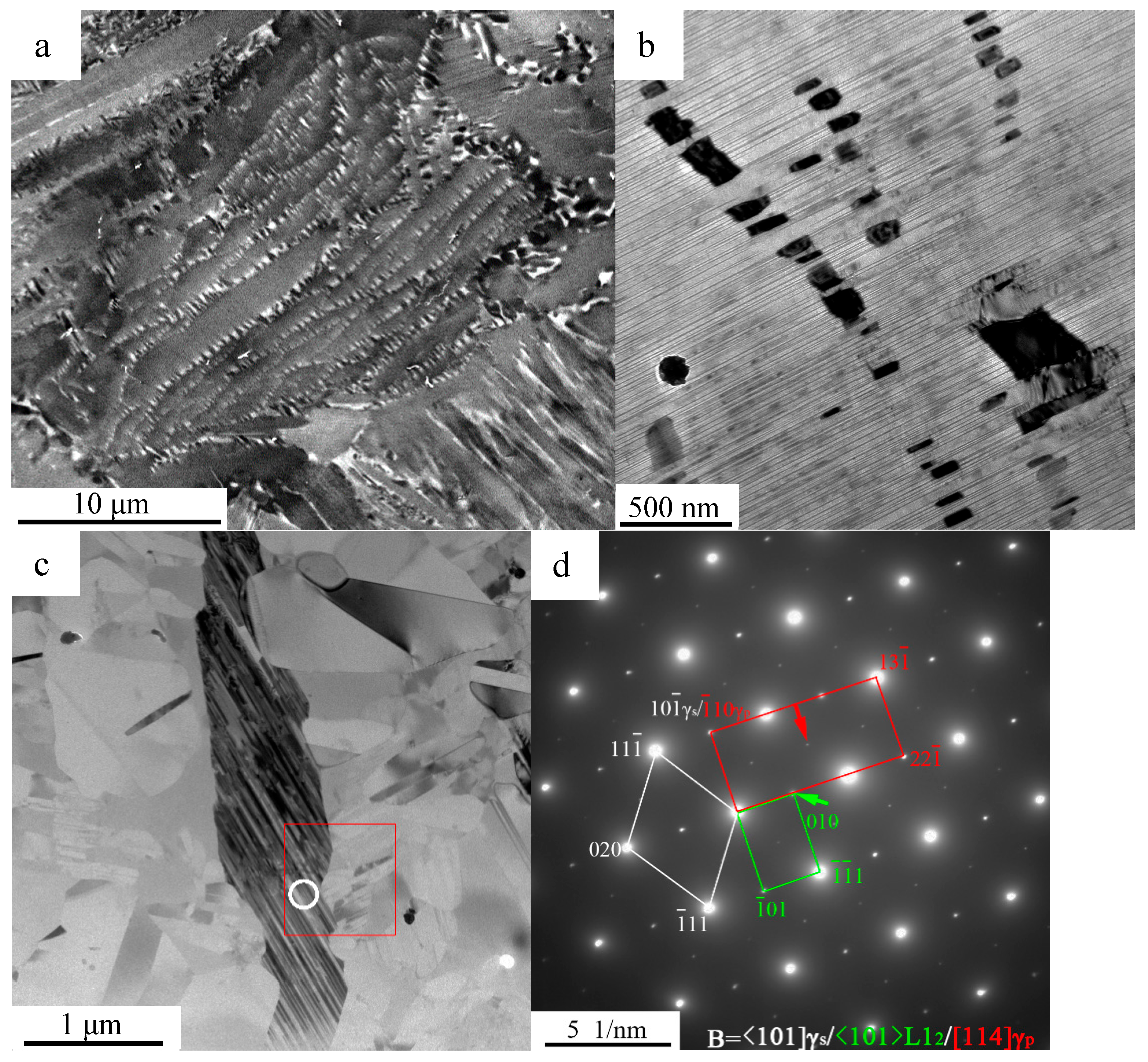 Materials 10 00201 g003