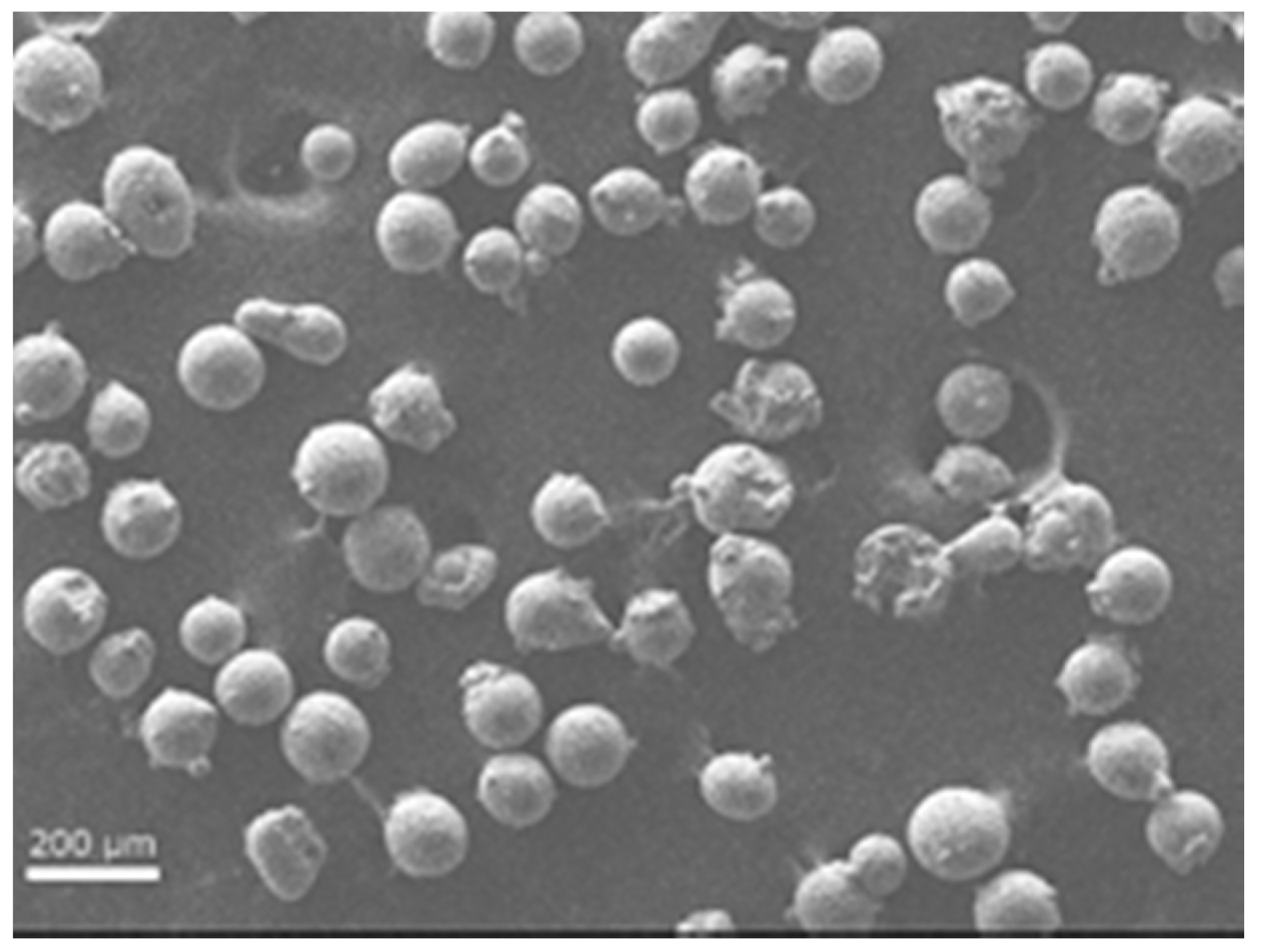 Materials 10 00211 g002