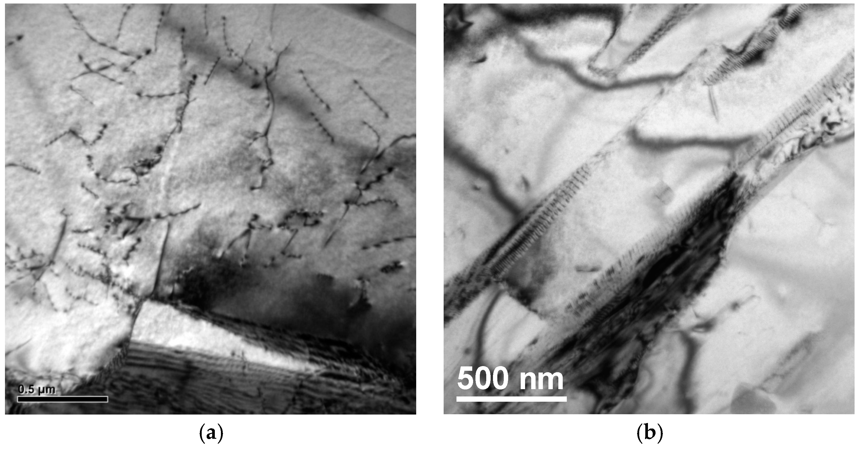 Materials 10 00211 g010