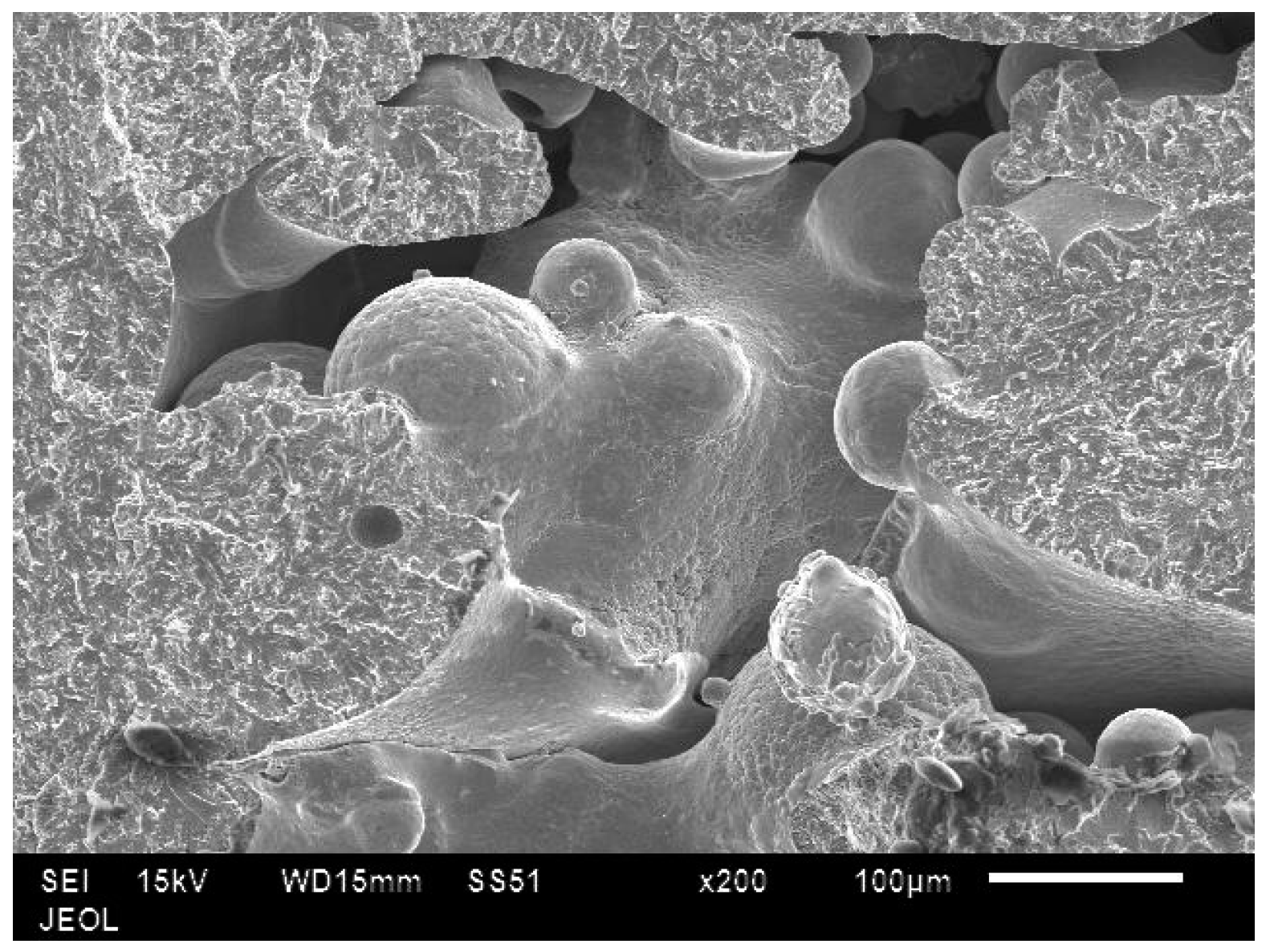 Materials 10 00211 g016
