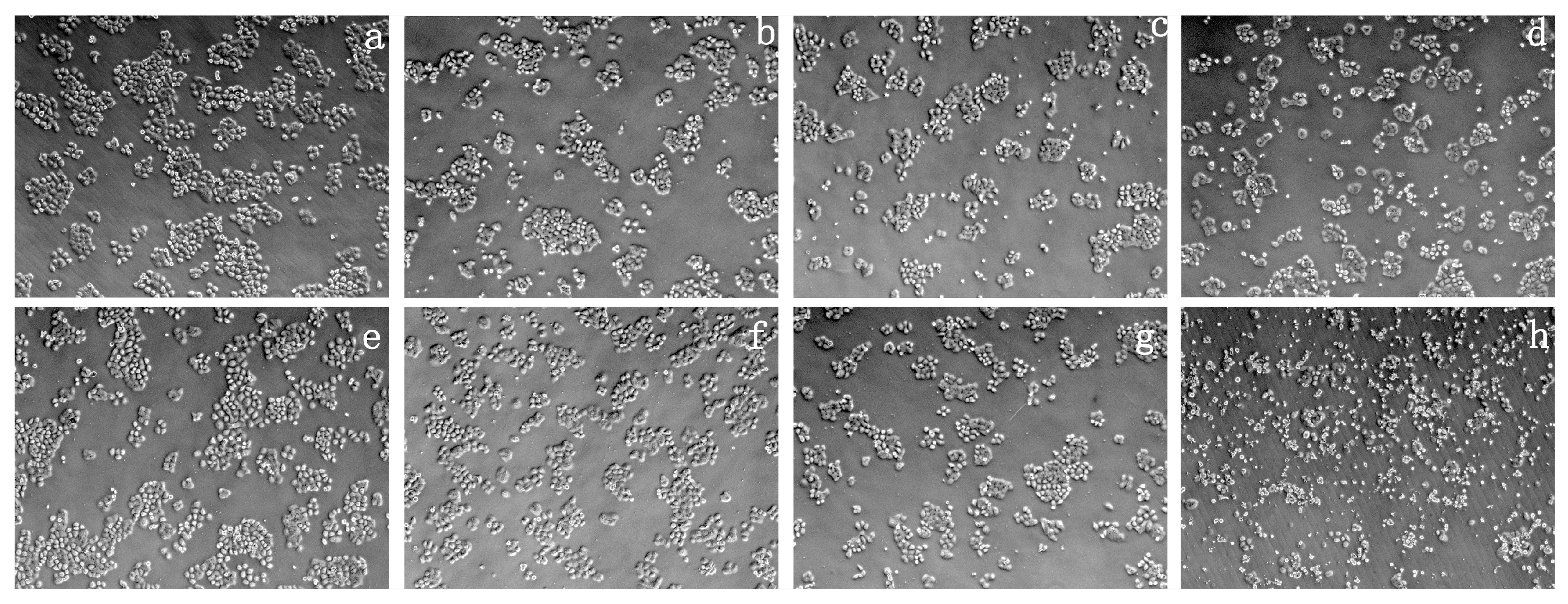 Materials 10 00219 g006