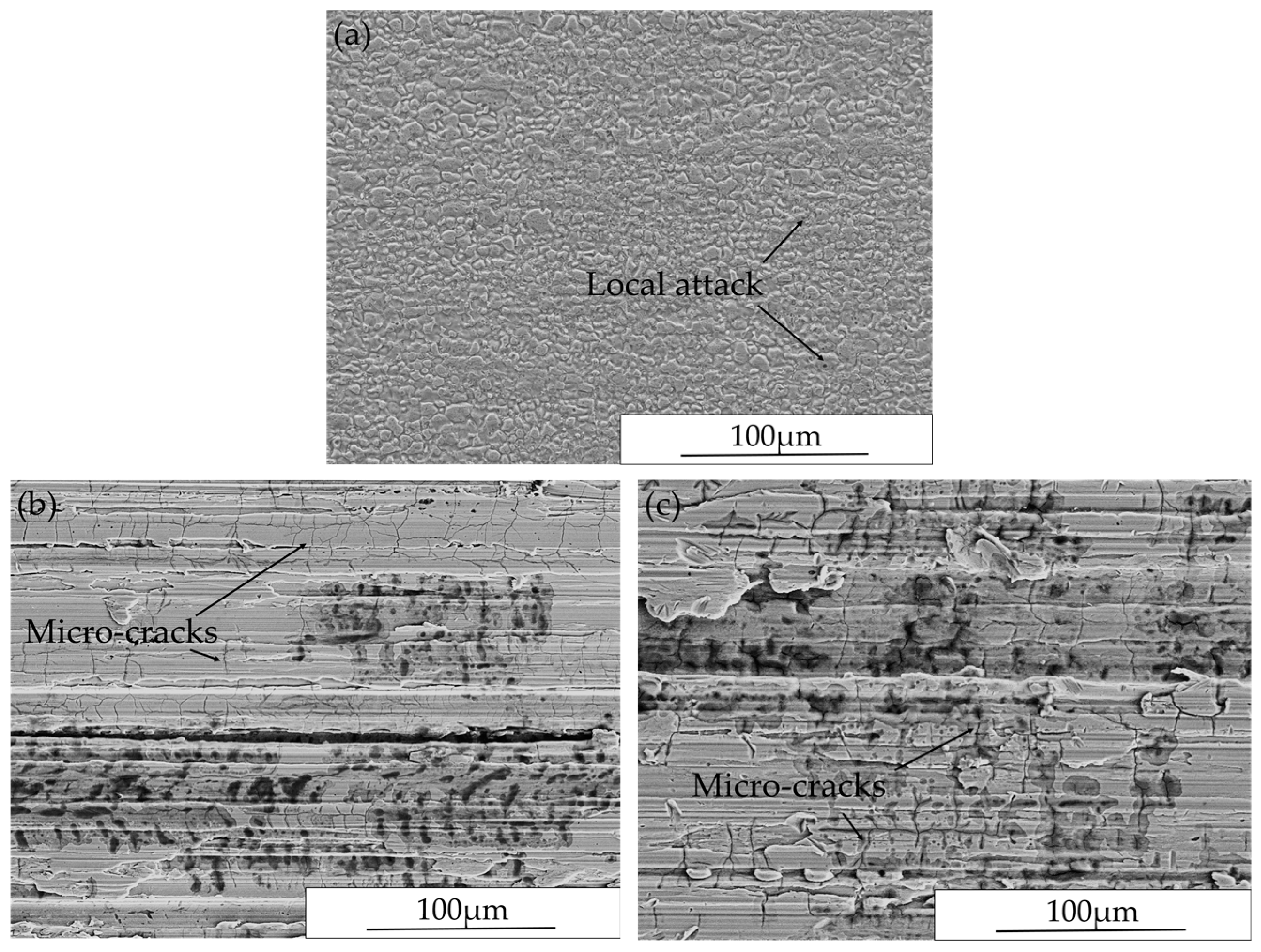 Materials 10 00221 g006