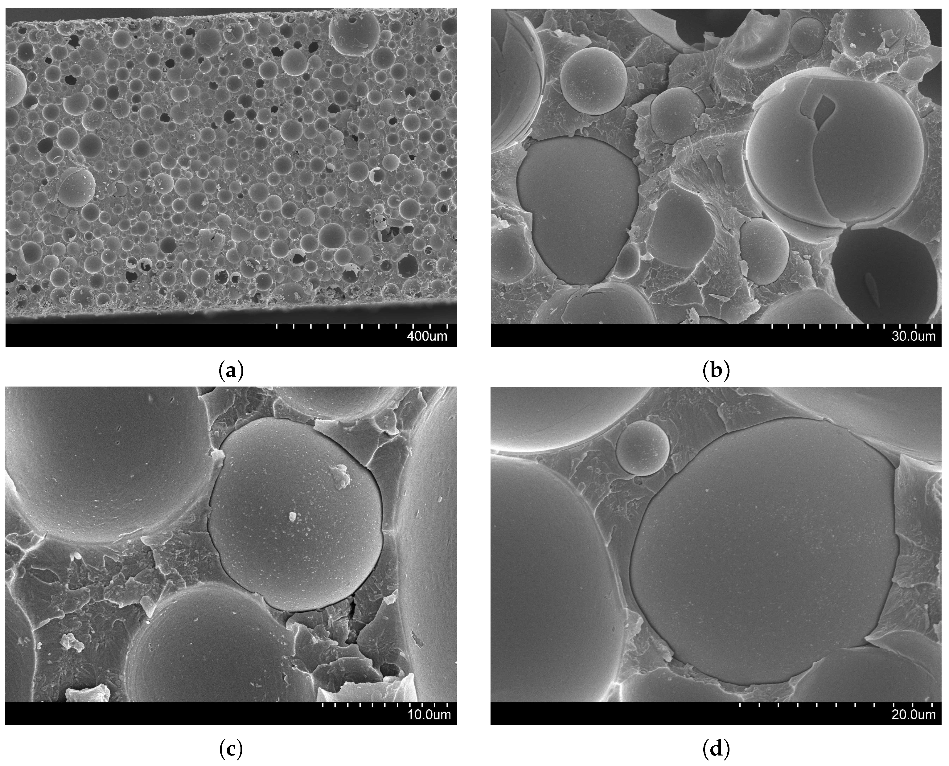 Materials 10 00224 g010