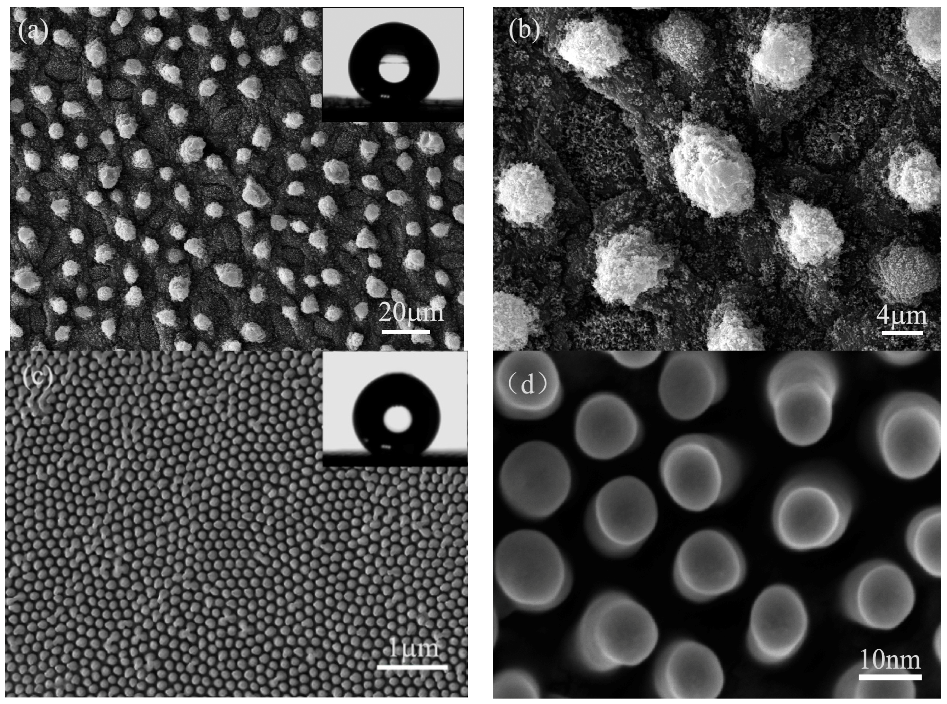 Materials 10 00254 g001