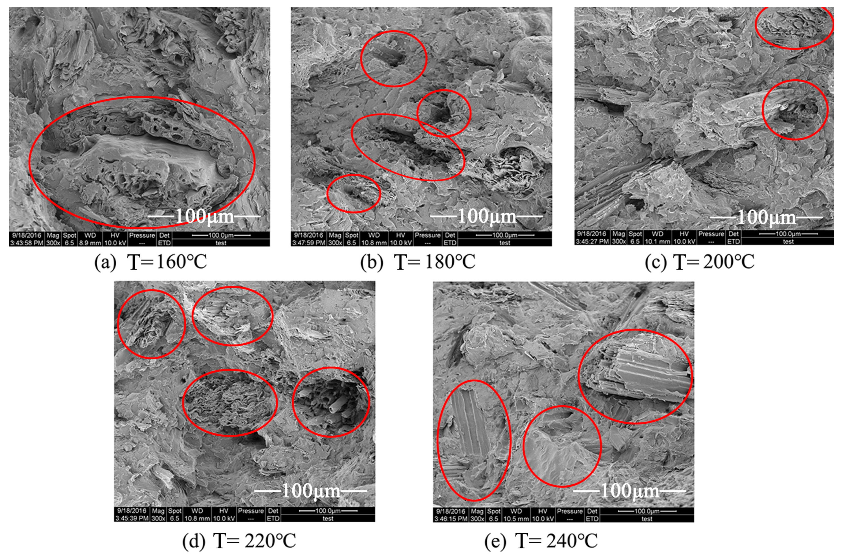 Materials 10 00286 g010